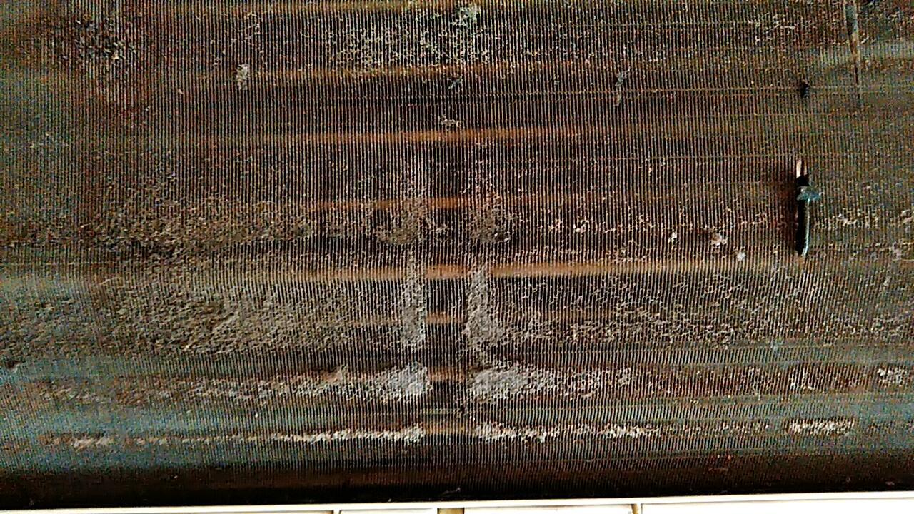 20181020_130721_819.jpg