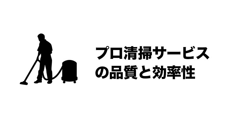 プロ清掃サービスの品質と効率性