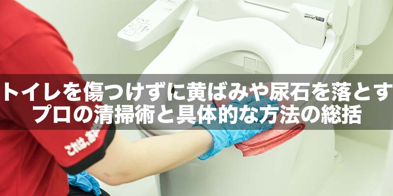 トイレを傷つけずに黄ばみや尿石を落とすプロの清掃術と具体的な方法の総括