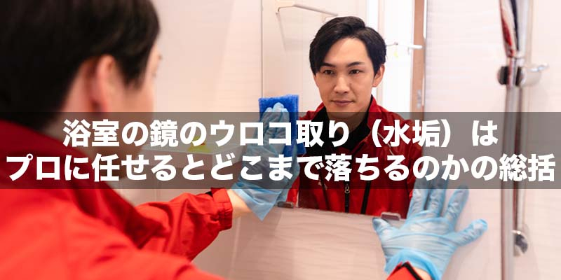 浴室の鏡のウロコ取り（水垢）はプロに任せるとどこまで落ちるのかの総括