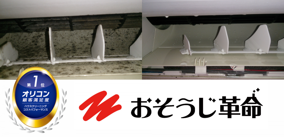 汚れたエアコンフィルターと清掃後のビフォーアフター（荒川区）