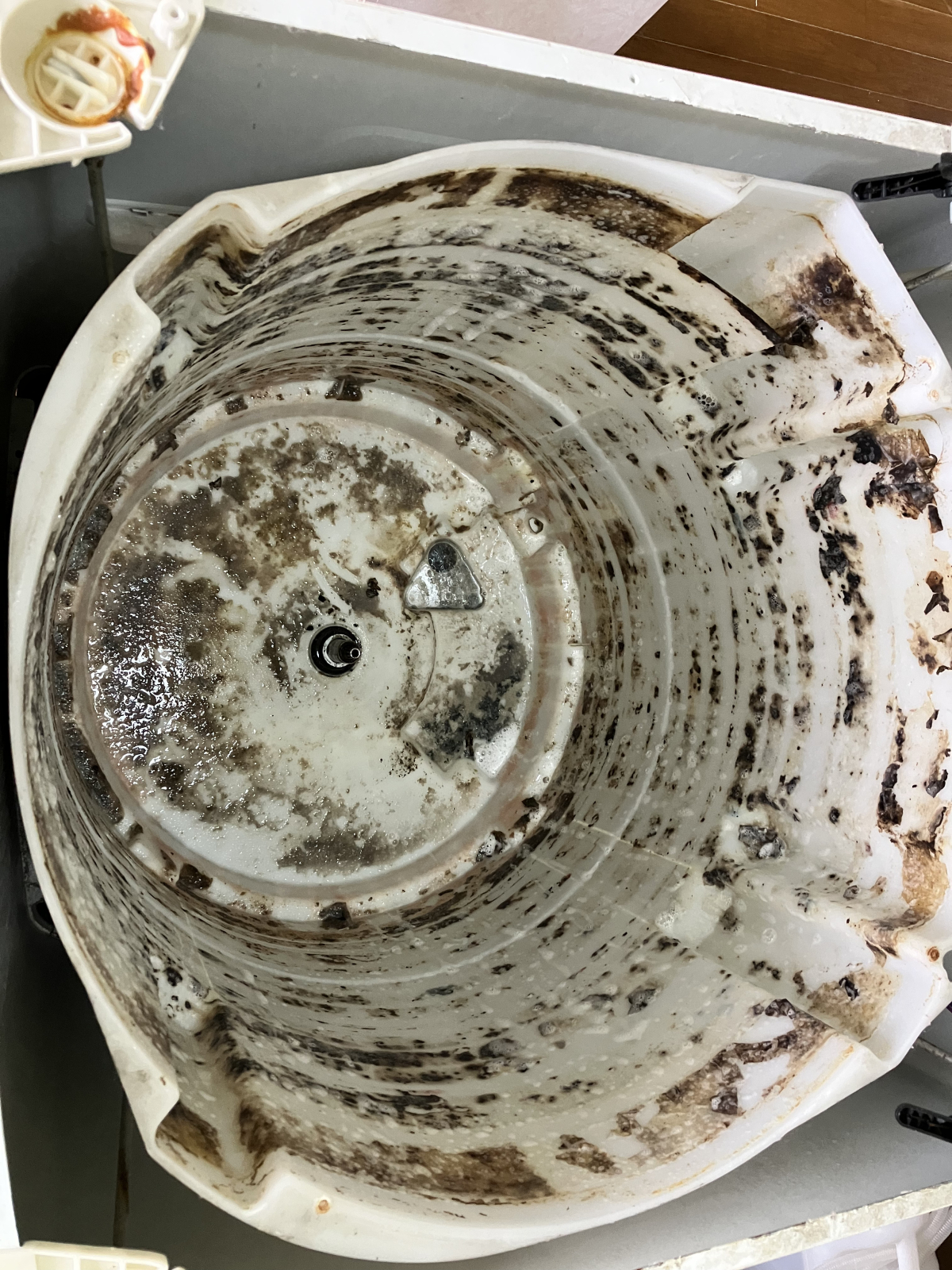 洗濯槽　カビ　汚れ