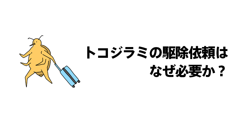 トコジラミの駆除依頼はなぜ必要か？