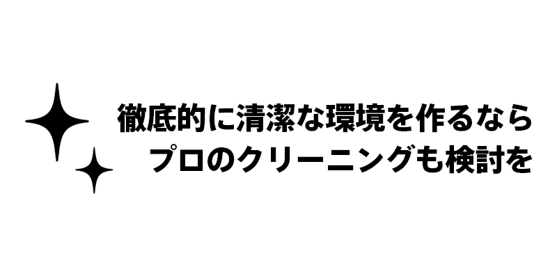 徹底的に清潔な環境を作るならプロのクリーニングも検討を