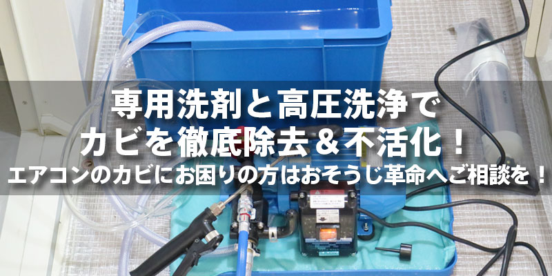 専用洗剤と高圧洗浄でカビを徹底除去＆不活化！エアコンのカビにお困りの方はおそうじ革命へご相談を！