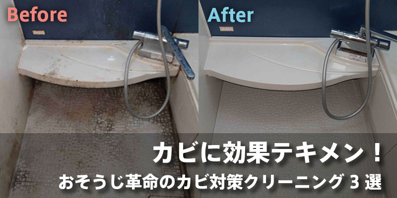 カビに効果テキメン！おそうじ革命のカビ対策クリーニング3選