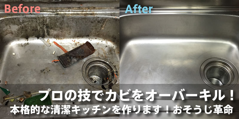 プロの技でカビをオーバーキル！本格的な清潔キッチンを作ります！おそうじ革命