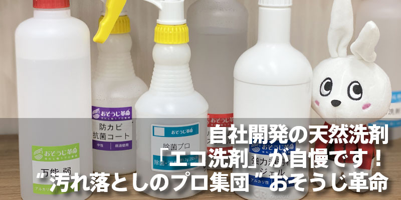 市販洗剤と手作り洗剤｜どっちを選ぶべき？効果の違いは？