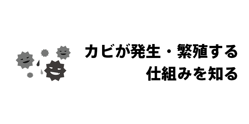 梅雨時期のカビ発生メカニズム