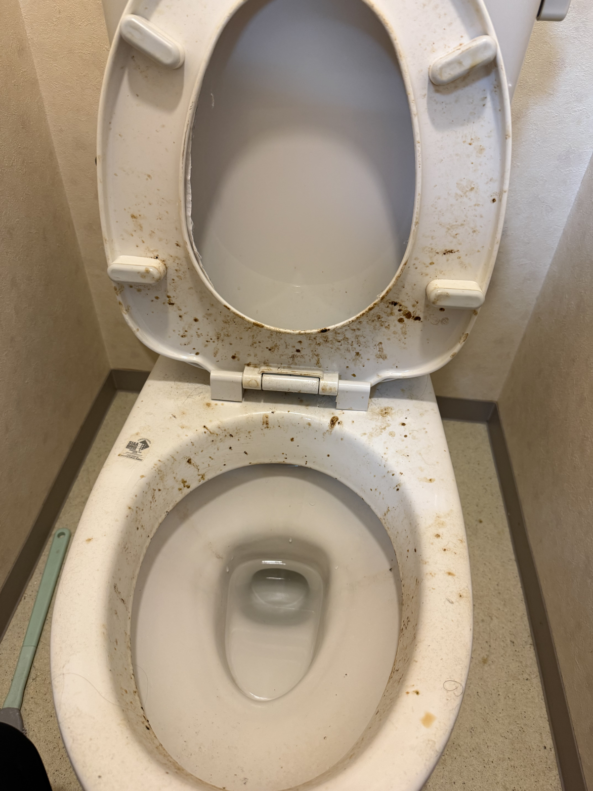千葉県香取市のトイレクリーニングの作業前1