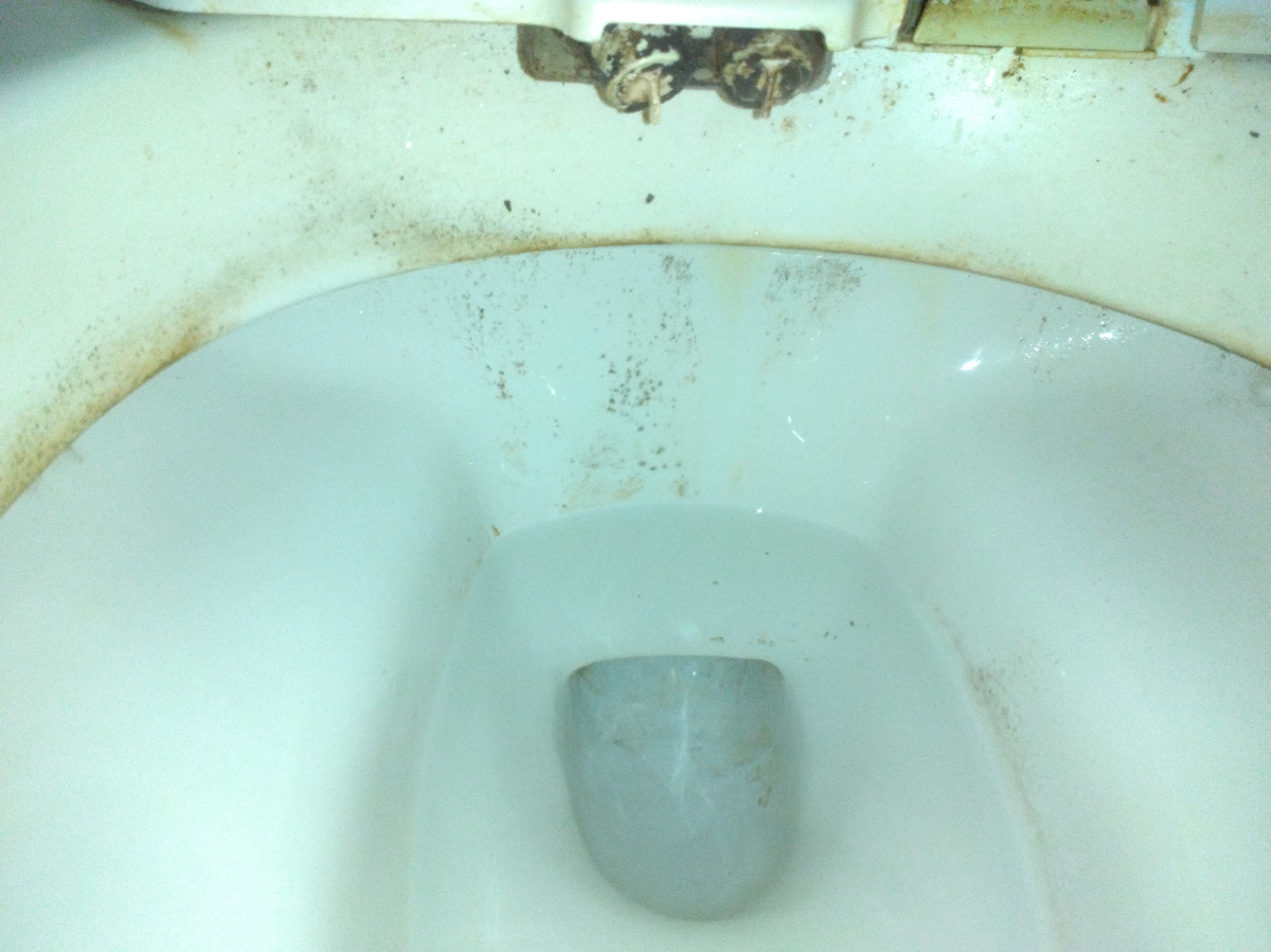 愛知県瀬戸市のトイレクリーニングの作業前2