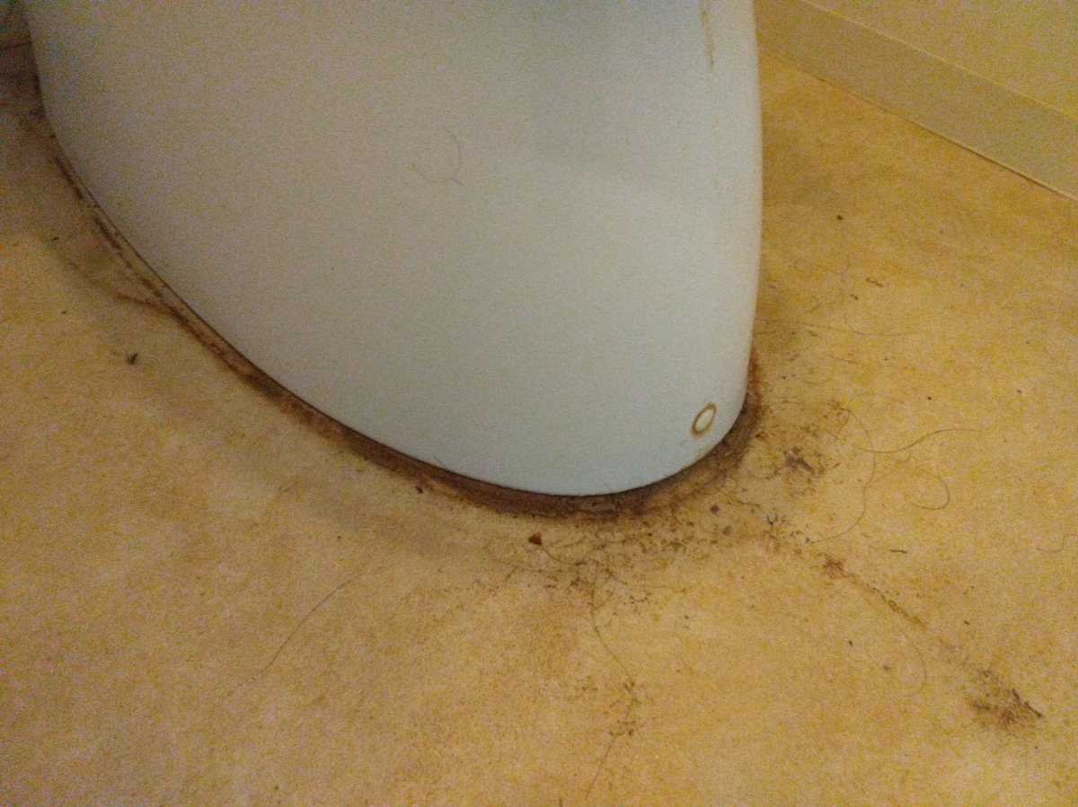 愛知県瀬戸市のトイレクリーニングの作業前3