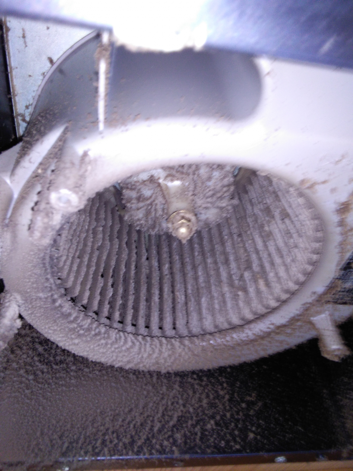 茨城県小美玉市の何でもわがまま定額サービスの作業前2