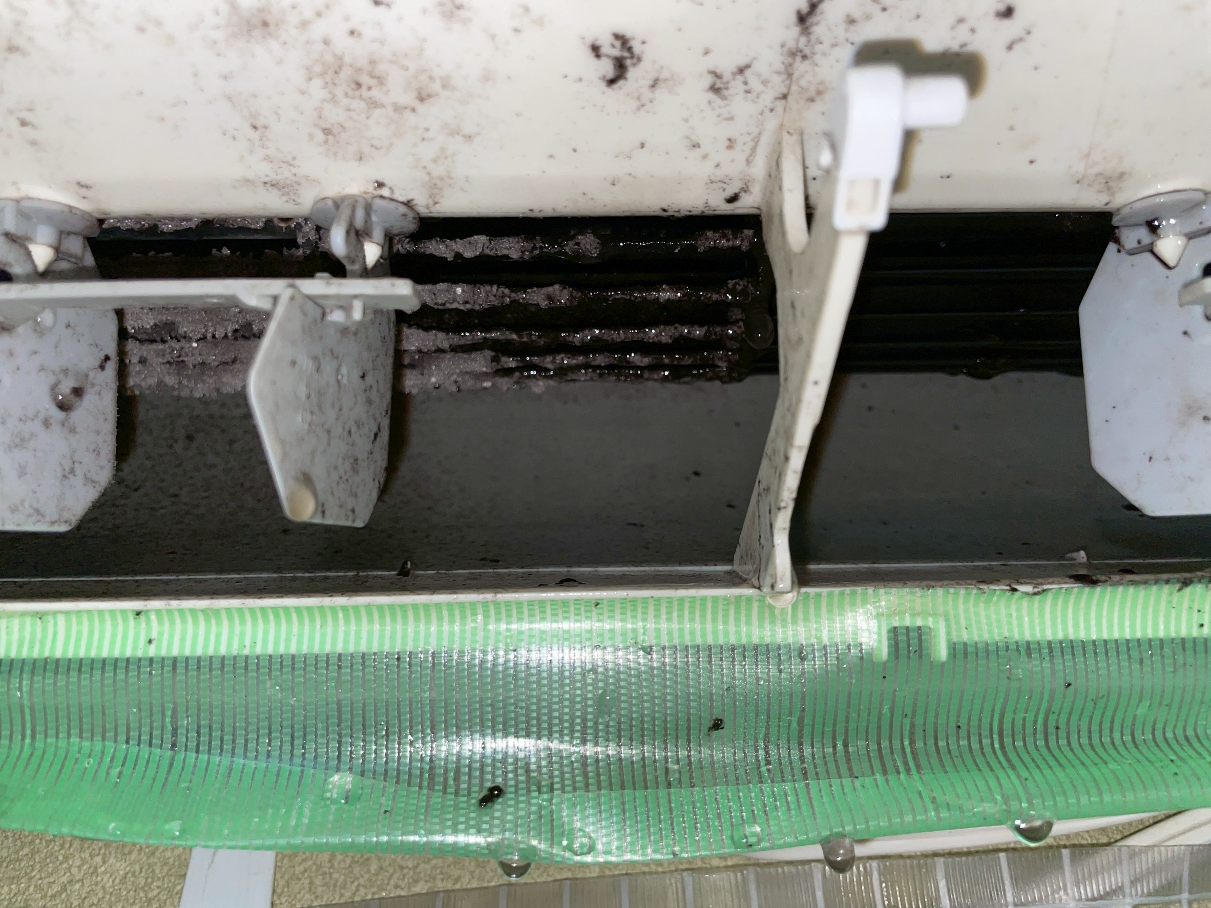 東京都文京区千駄木の賃貸住宅入居前の簡易クリーニングの作業前1