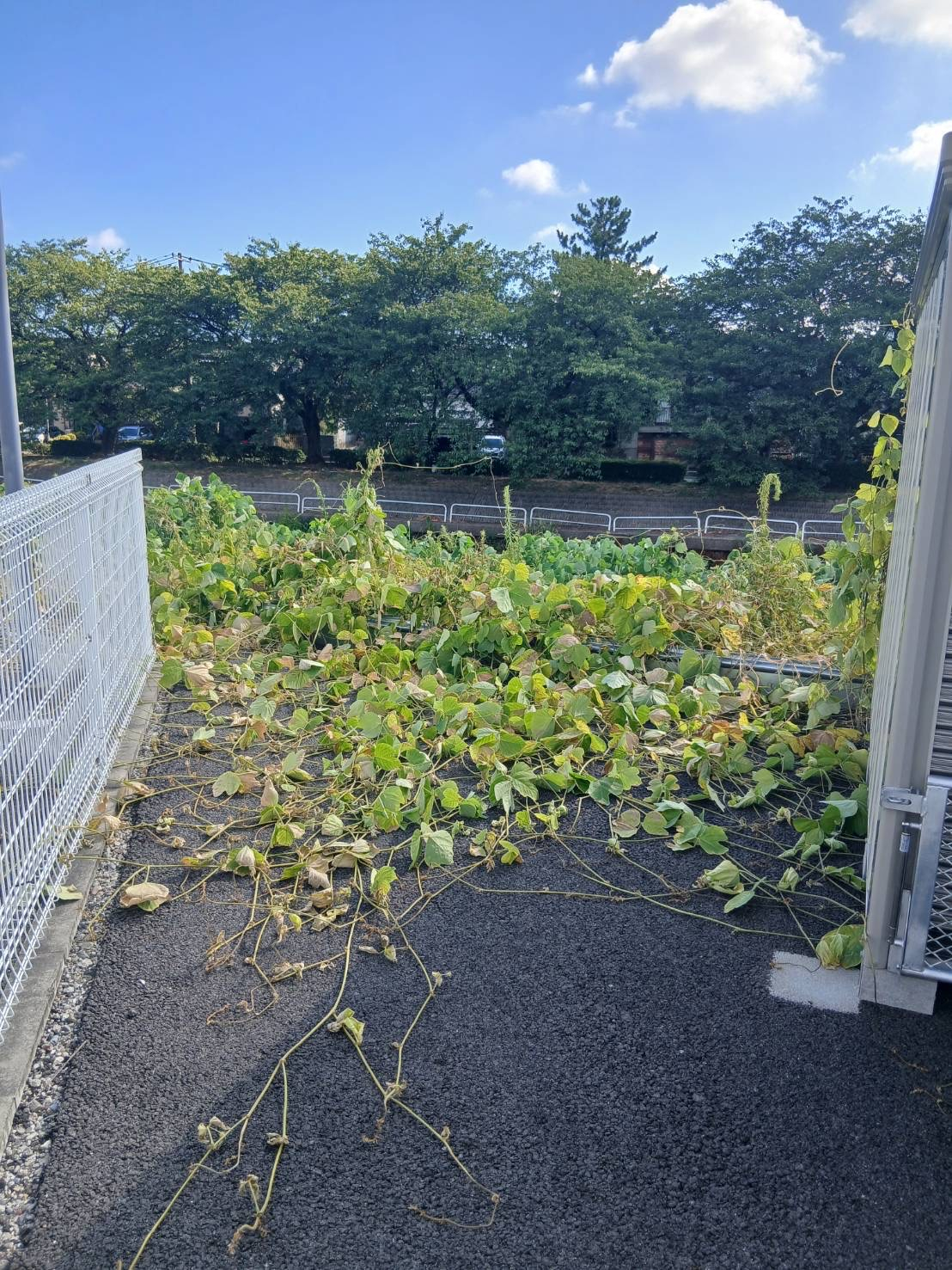 新潟県新潟市中央区山二ツの何でもわがまま定額サービスの作業前1