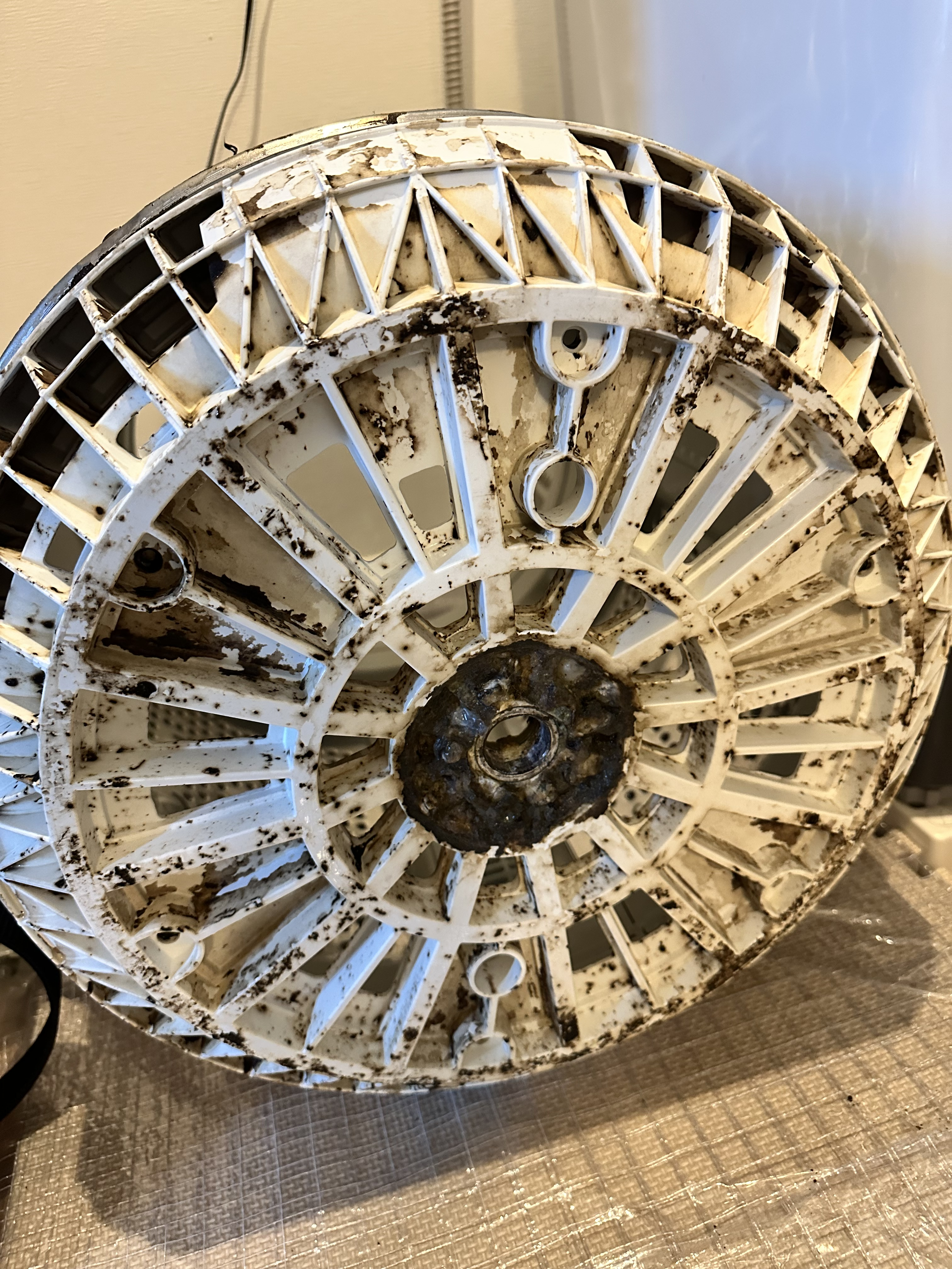 愛知県春日井市知多町の洗濯機分解クリーニングの作業前3