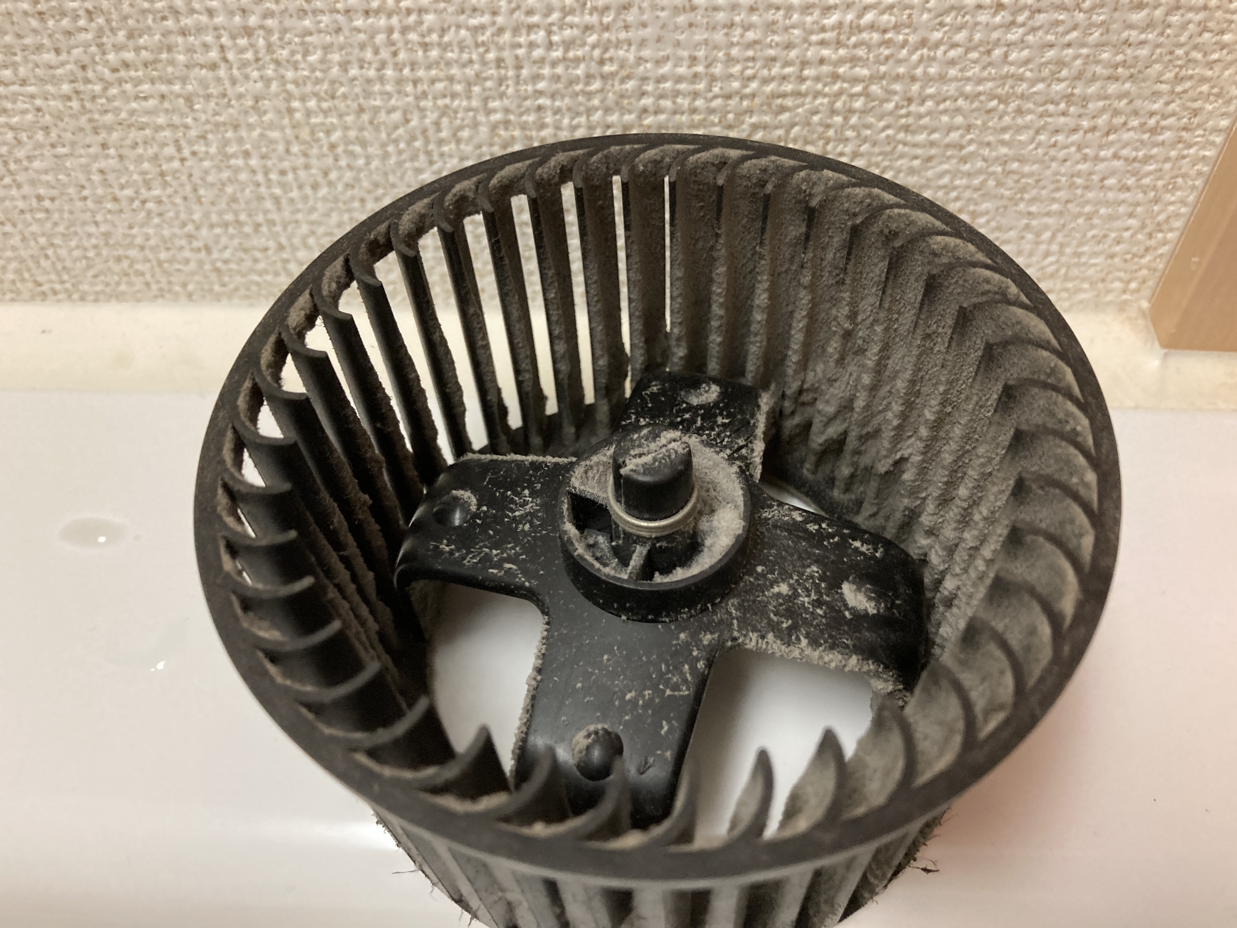 京都府京都市南区上鳥羽大柳町のトイレクリーニングの作業前1