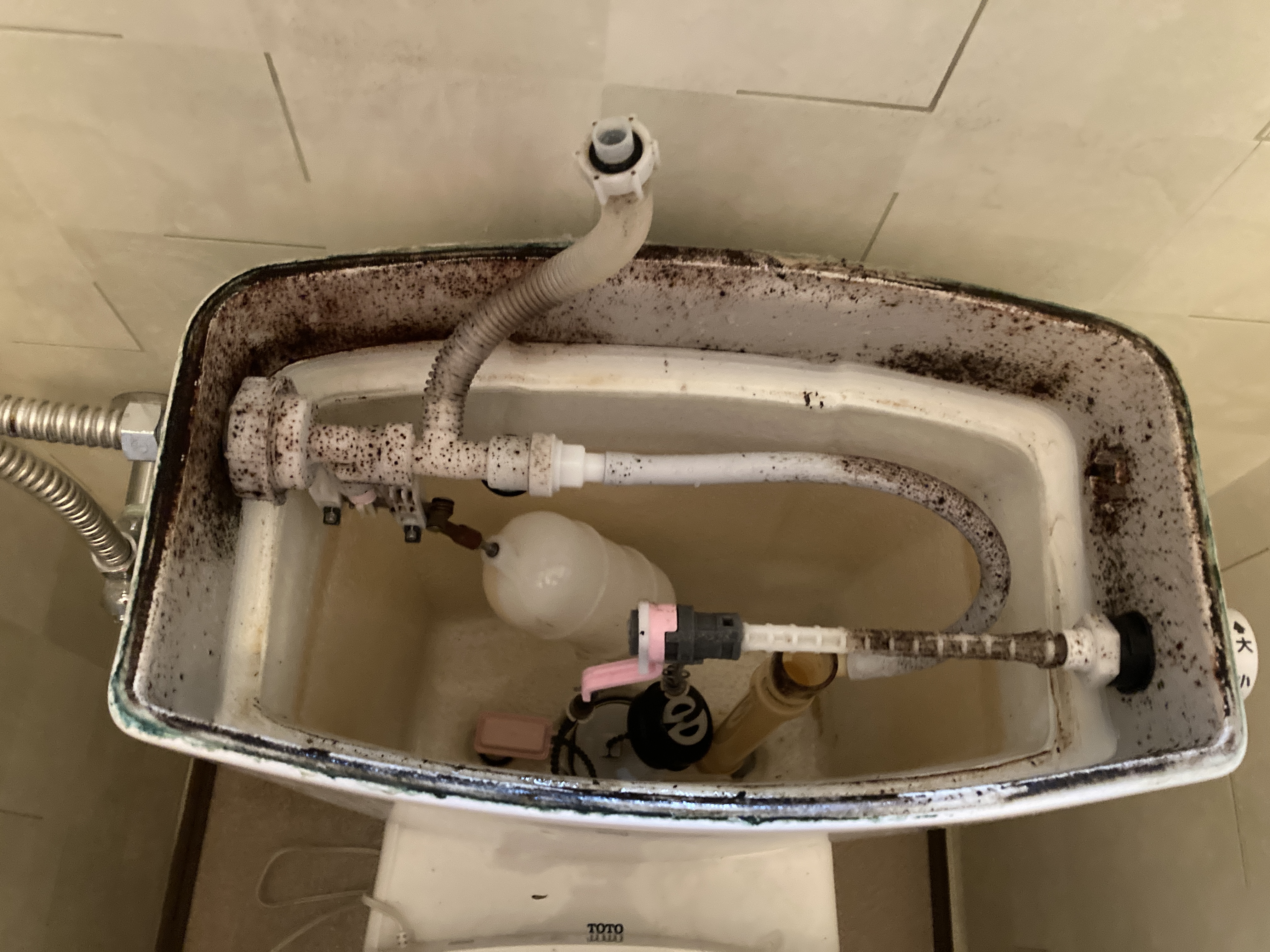 京都府京都市中京区西ノ京中御門東町のトイレクリーニングの作業前3