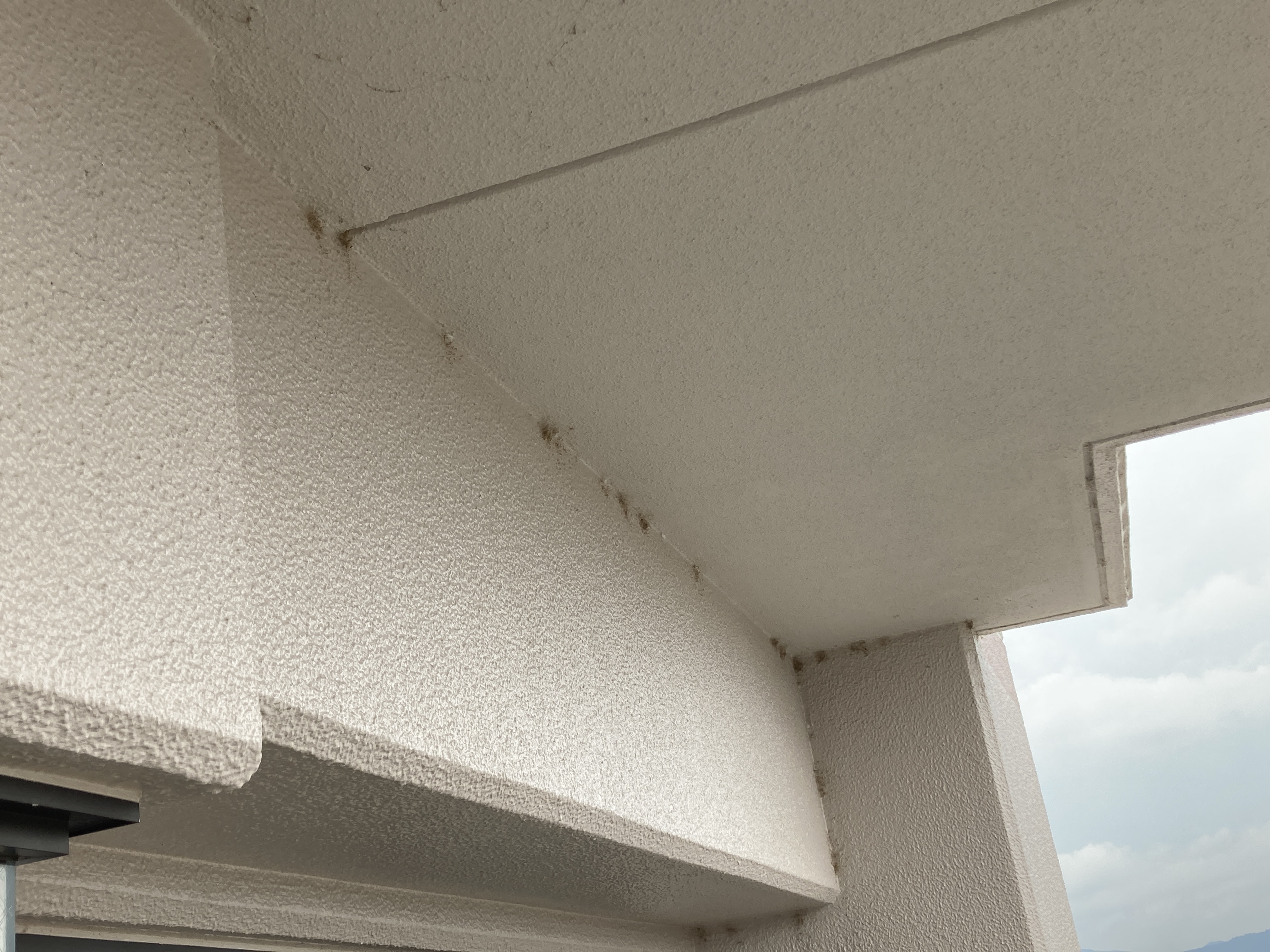 京都府京都市右京区山ノ内苗町のベランダ・バルコニークリーニングの作業前1