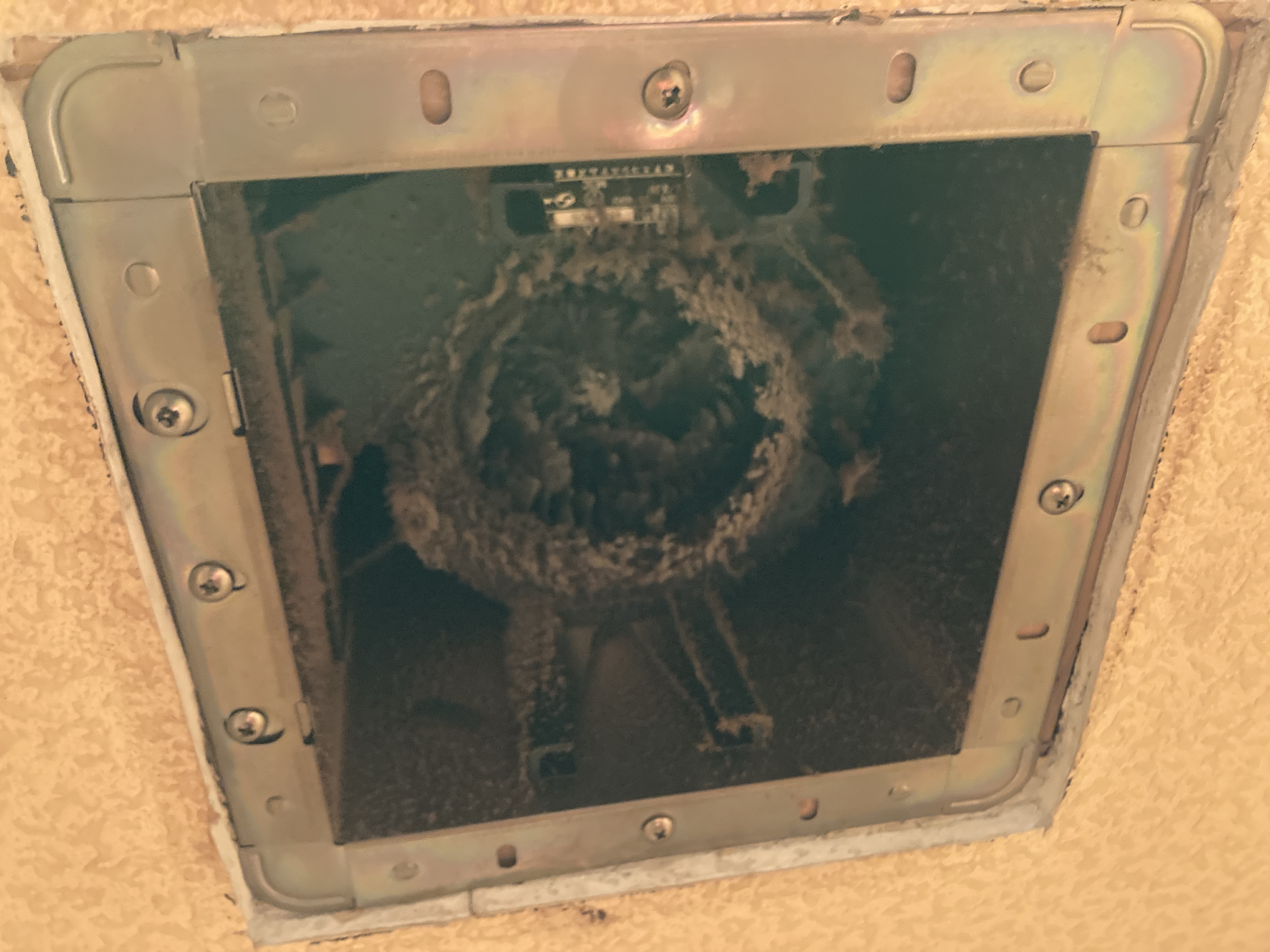 京都府亀岡市大井町並河のトイレクリーニングの作業前1