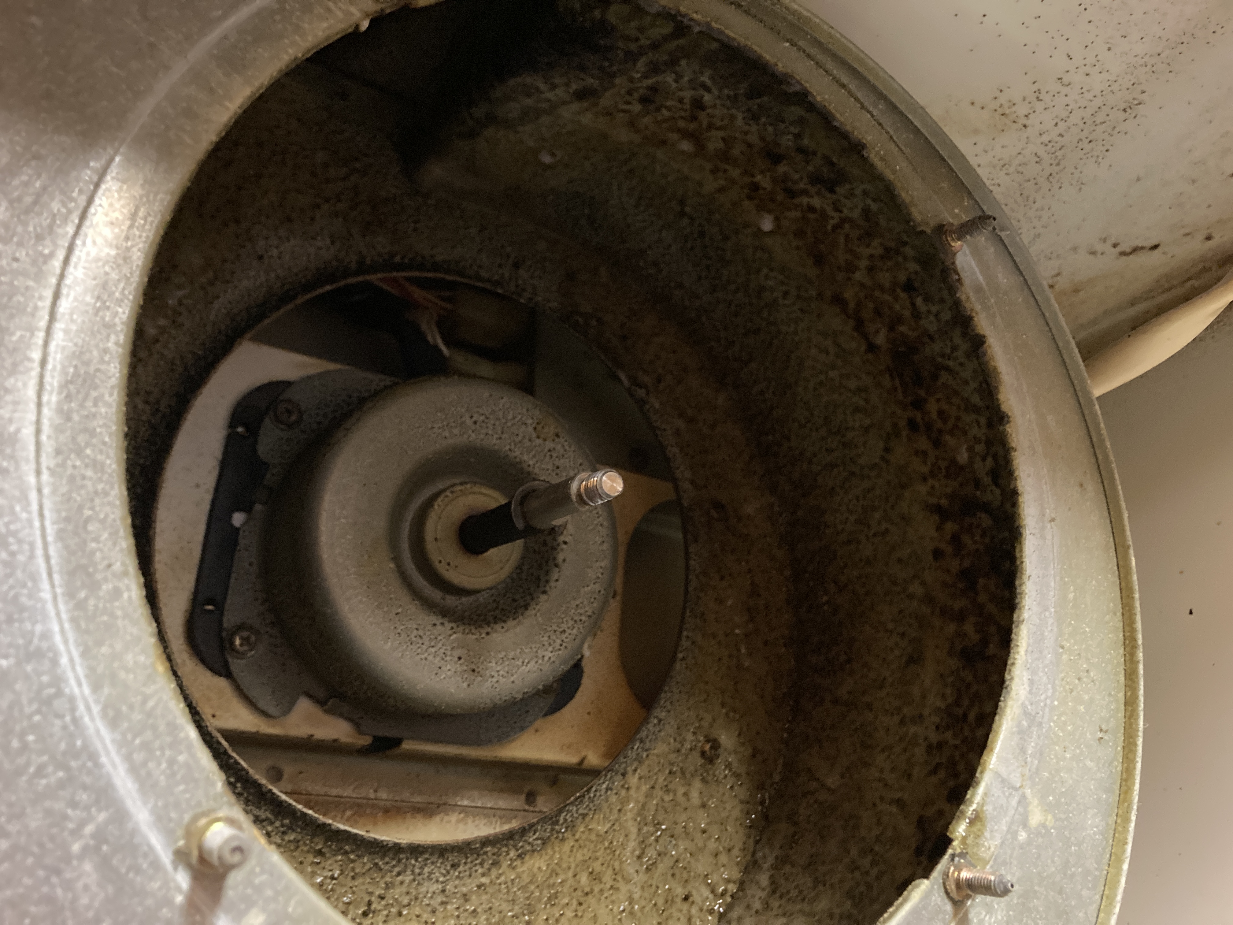 京都府京都市左京区北白川西町のレンジフードクリーニングの作業前1