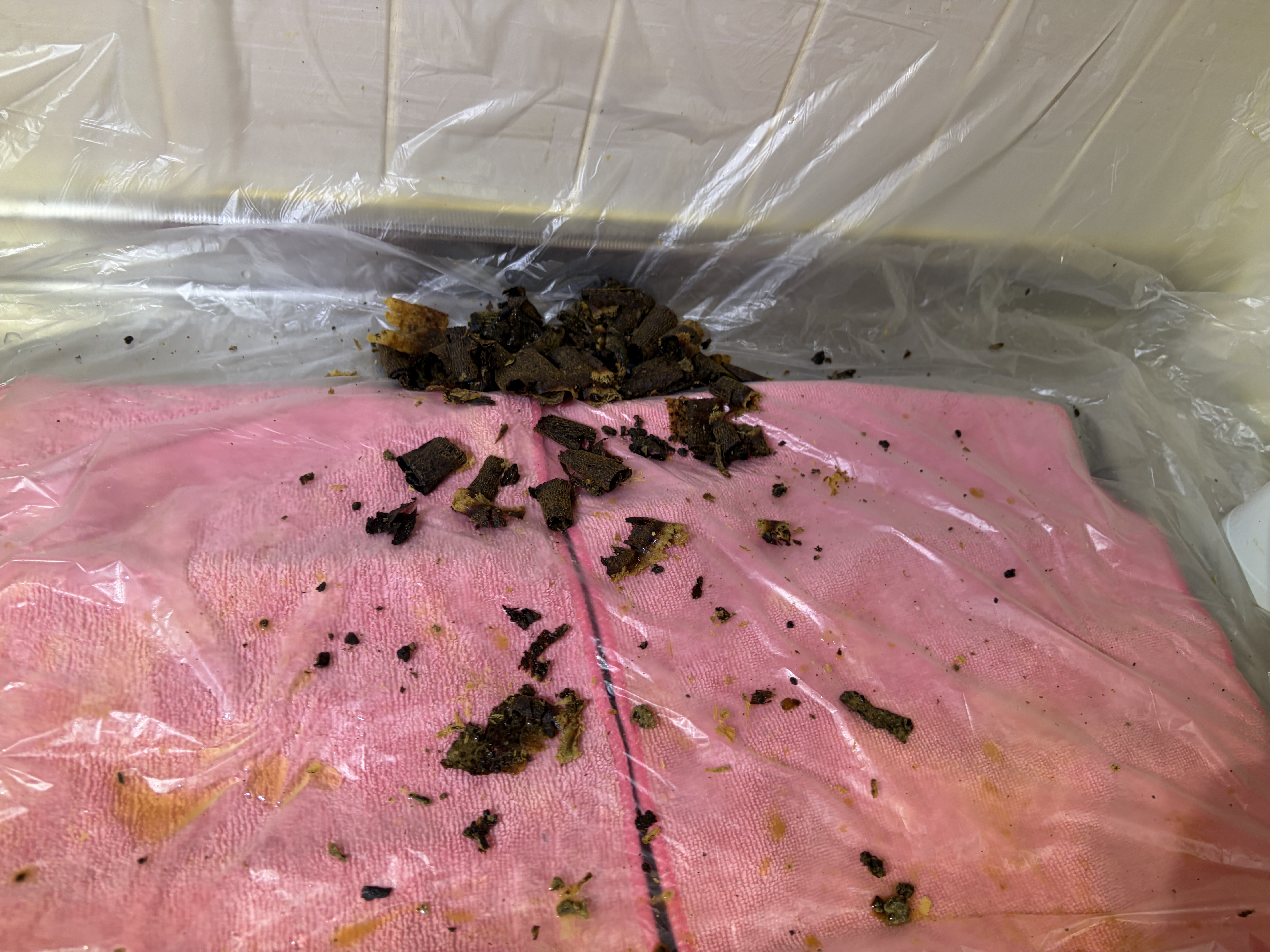 兵庫県川西市丸山台のレンジフードクリーニングの作業前3