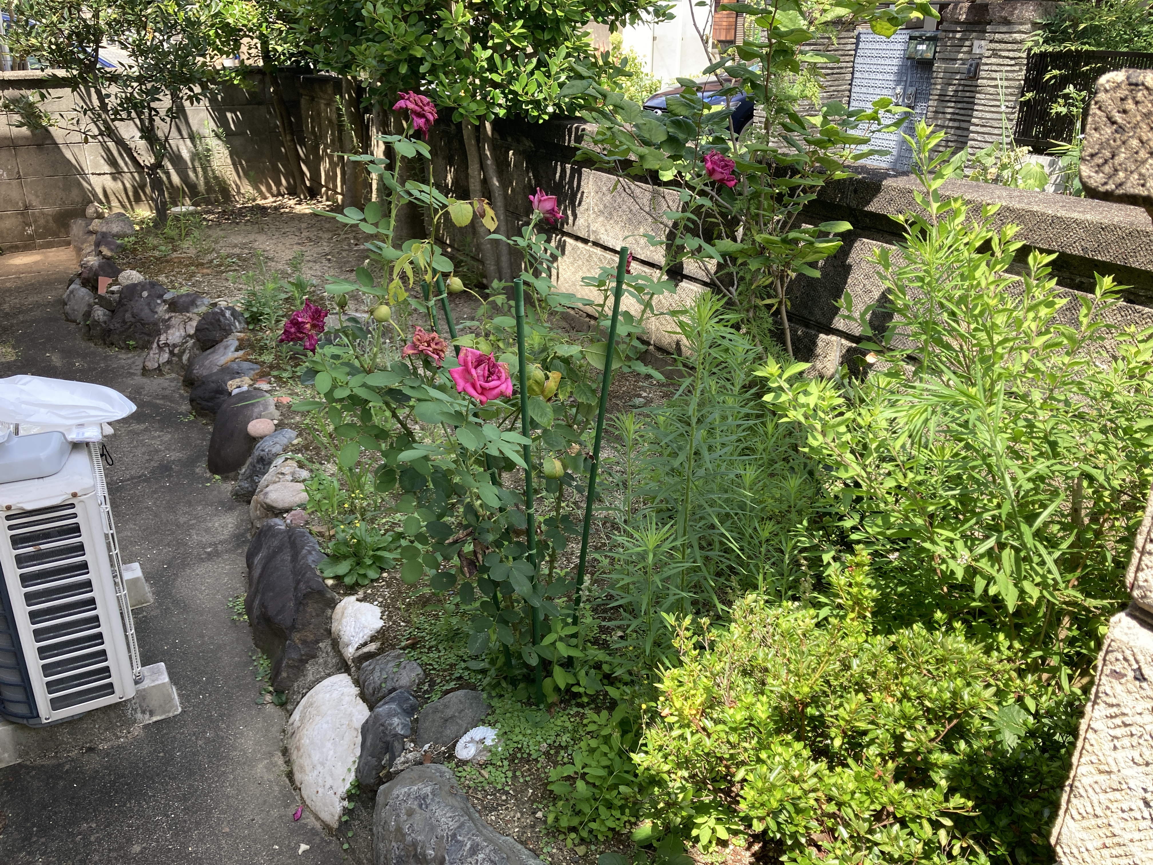 京都府京都市伏見区桃山町大島の何でもわがまま定額サービスの作業前1