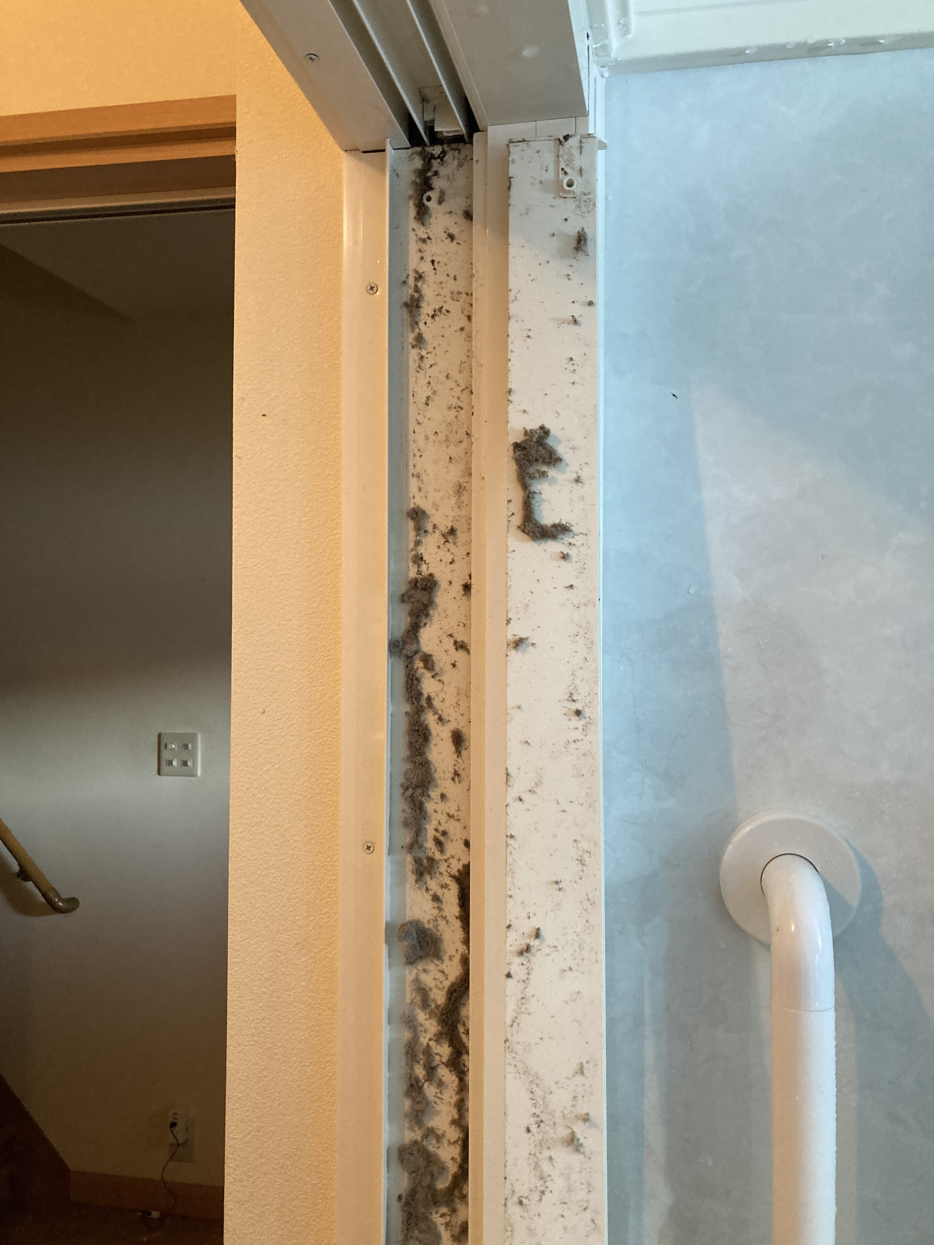 京都府京都市左京区松ヶ崎樋ノ上町の浴室・お風呂クリーニングの作業前1