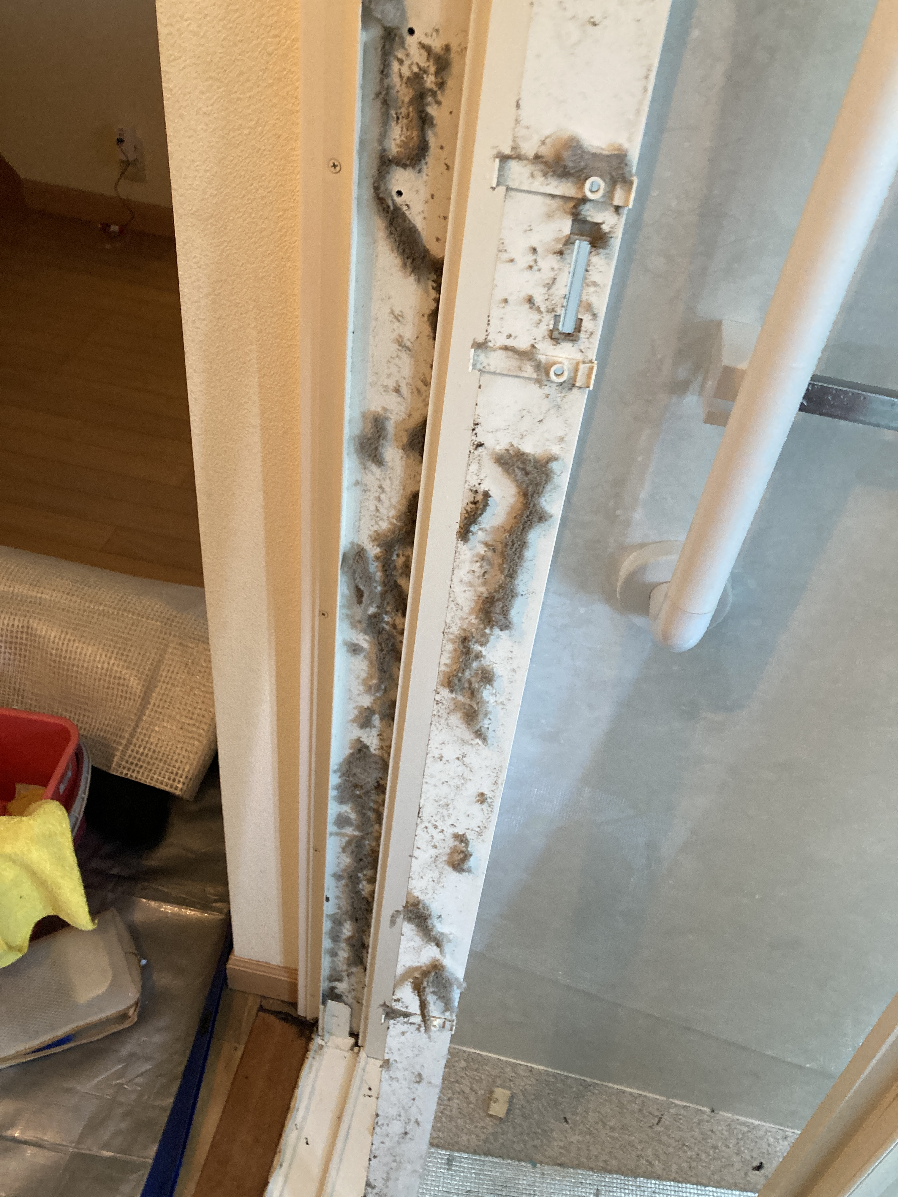 京都府京都市左京区松ヶ崎樋ノ上町の浴室・お風呂クリーニングの作業前2