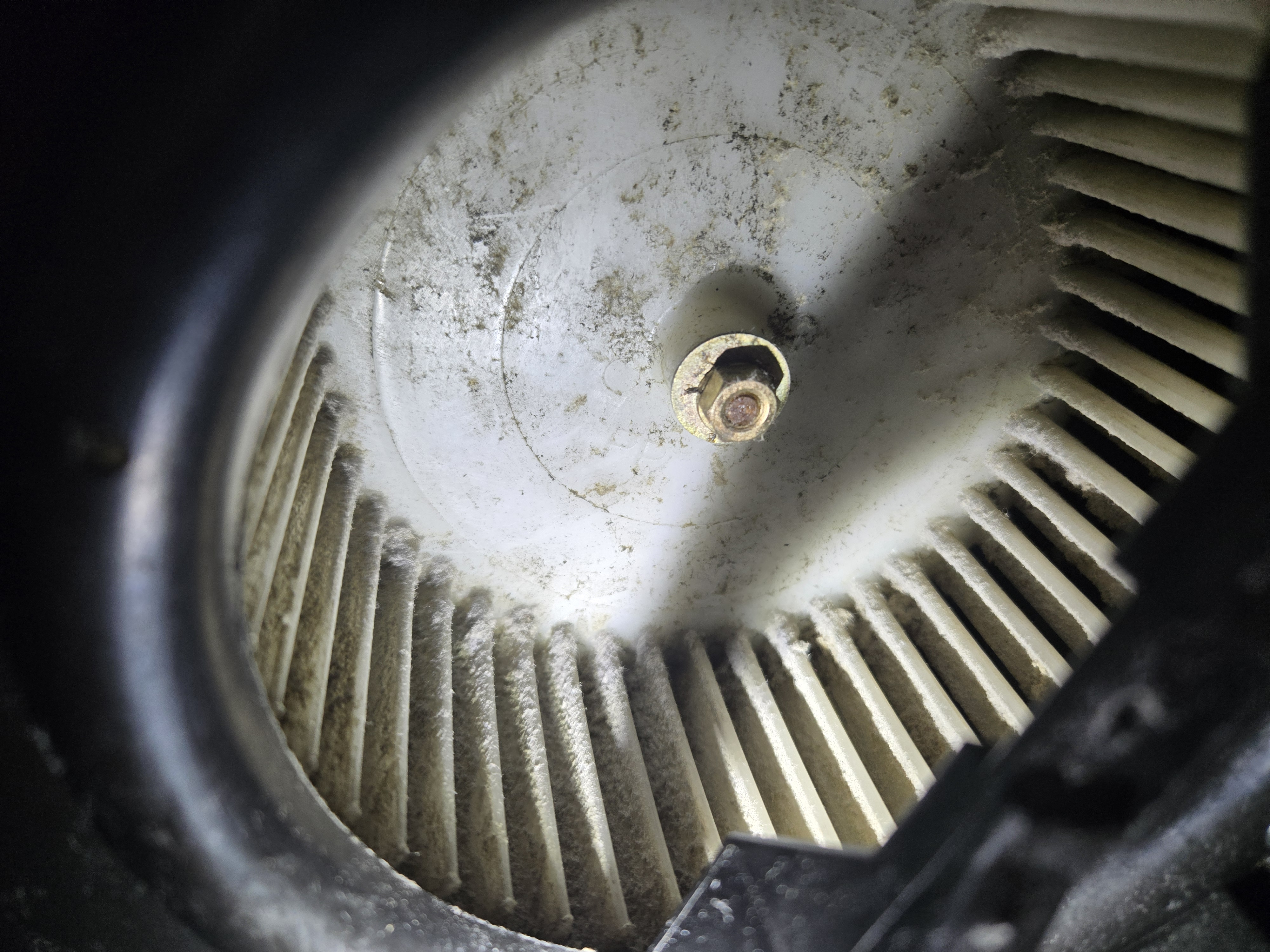 東京都小平市のトイレクリーニングの作業前2