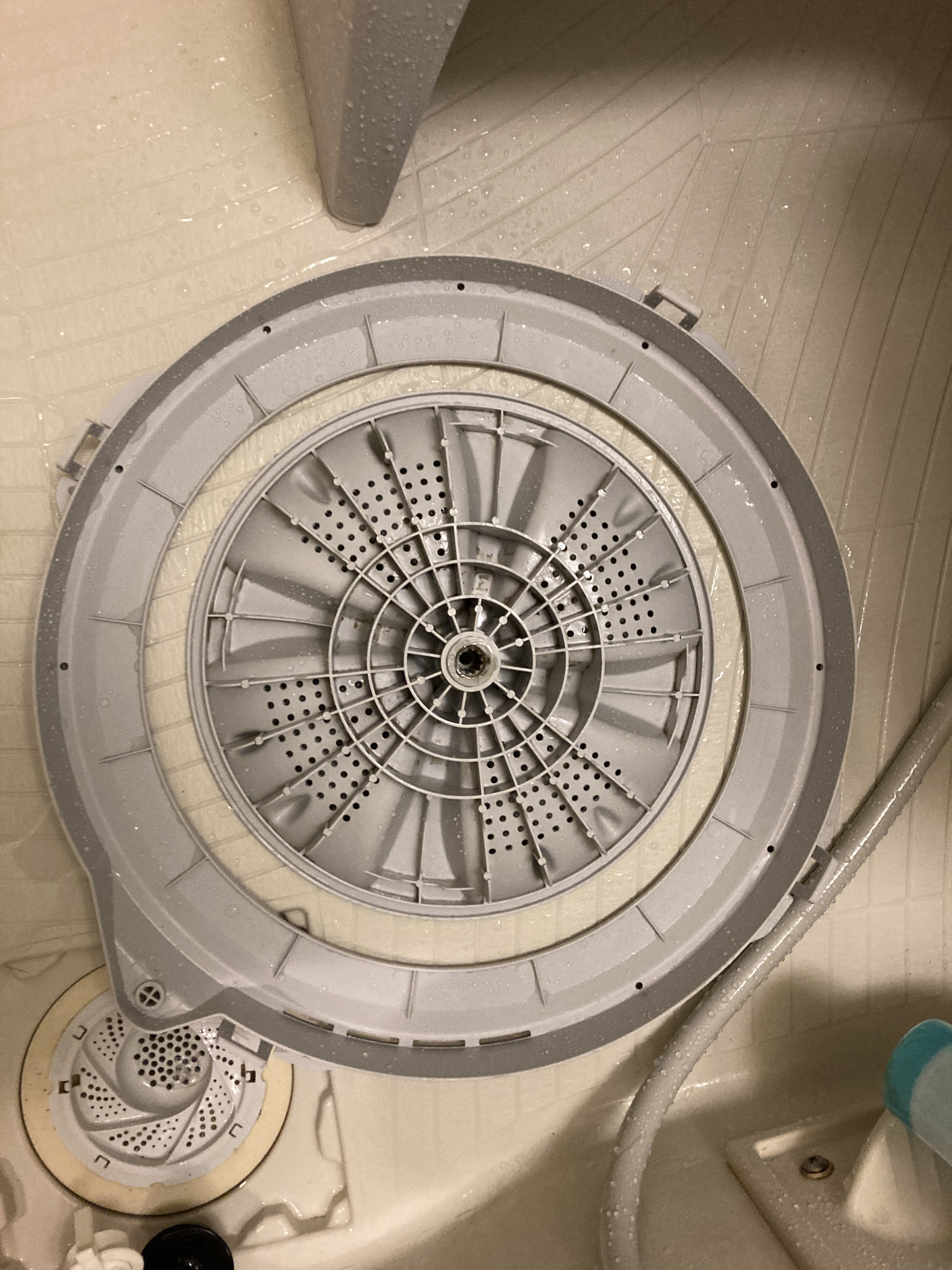 京都府京都市南区上鳥羽大柳町の洗濯機分解クリーニングの作業後3