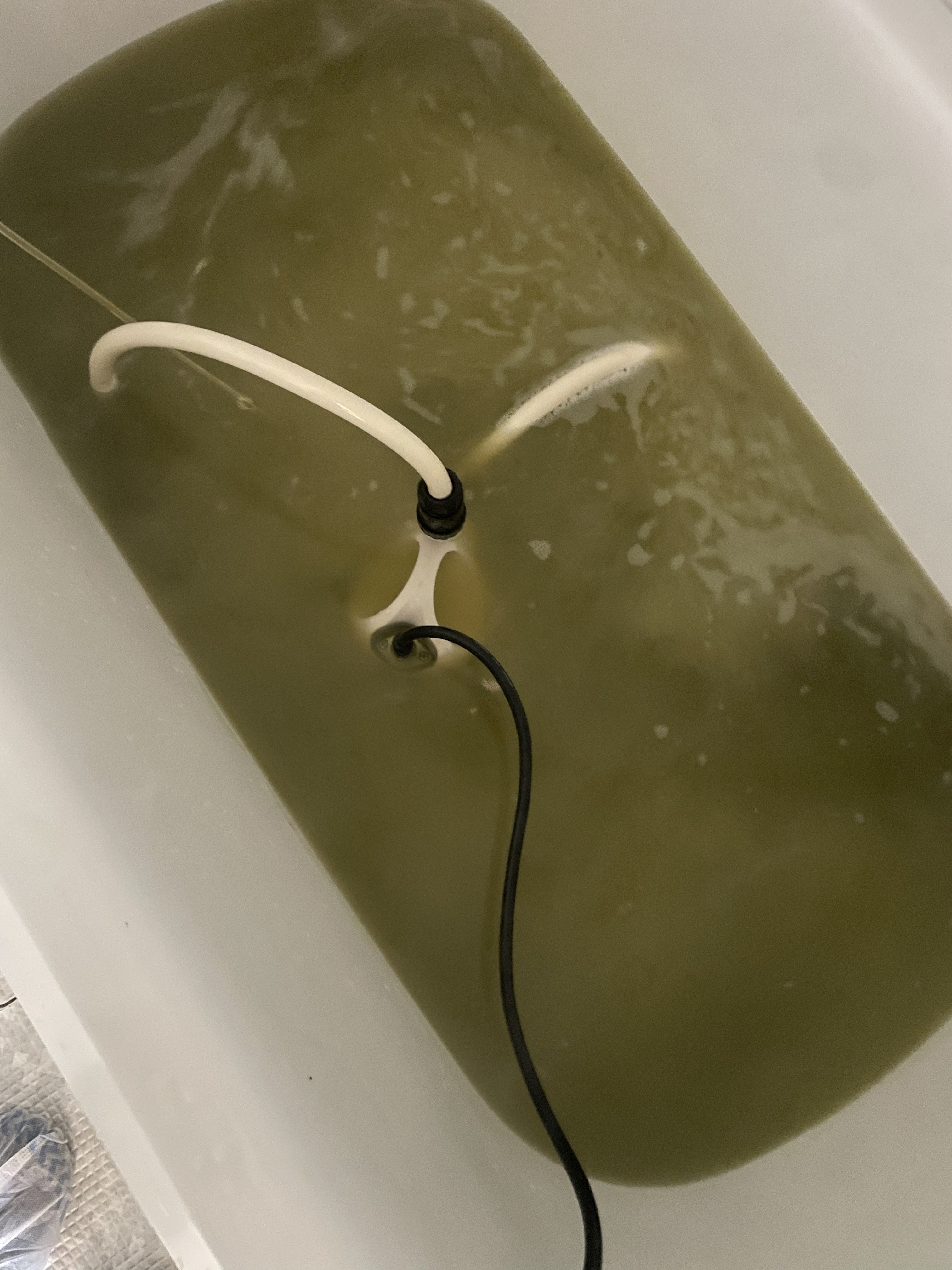 神奈川県横浜市青葉区青葉台の追い焚き配管除菌洗浄の作業後1