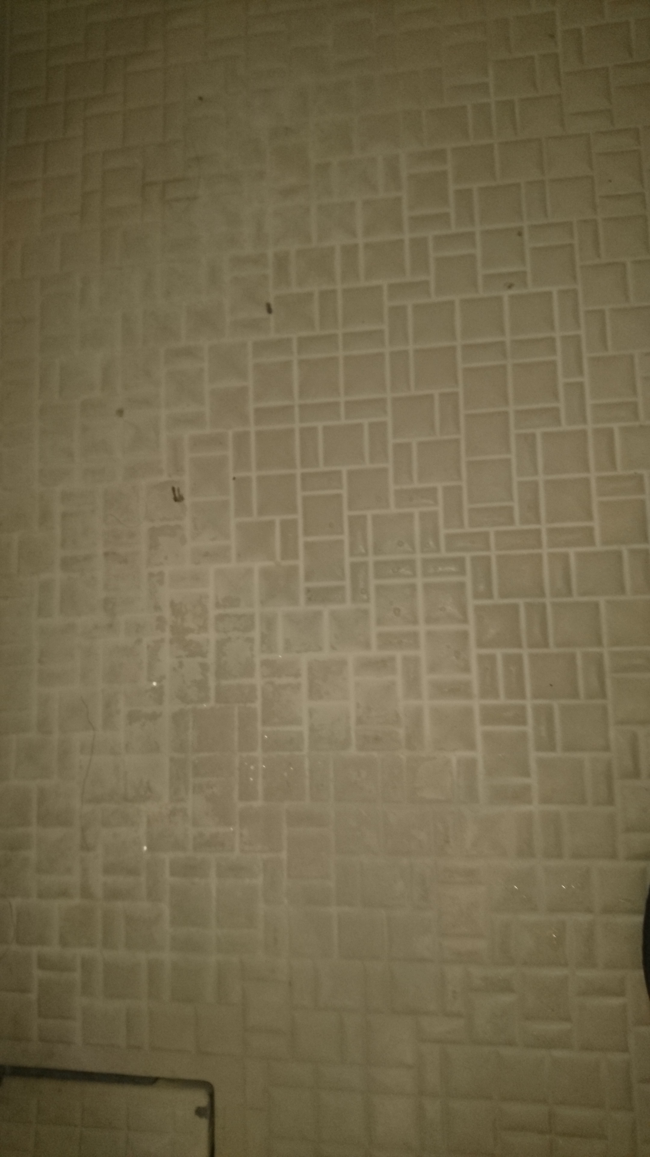 東京都小平市の浴室・お風呂クリーニングの作業前2