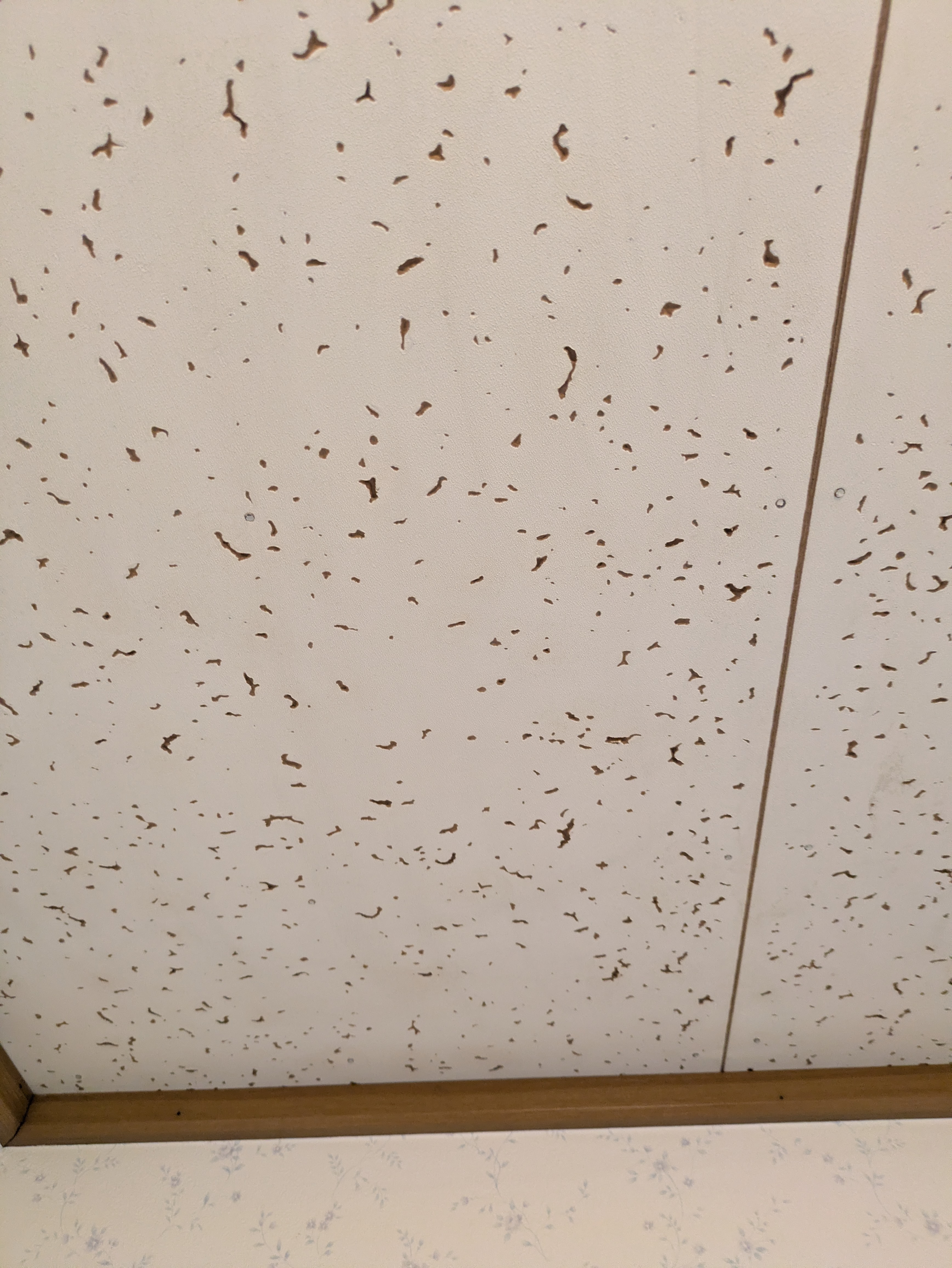 埼玉県さいたま市岩槻区裏慈恩寺のトイレクリーニングの作業後1