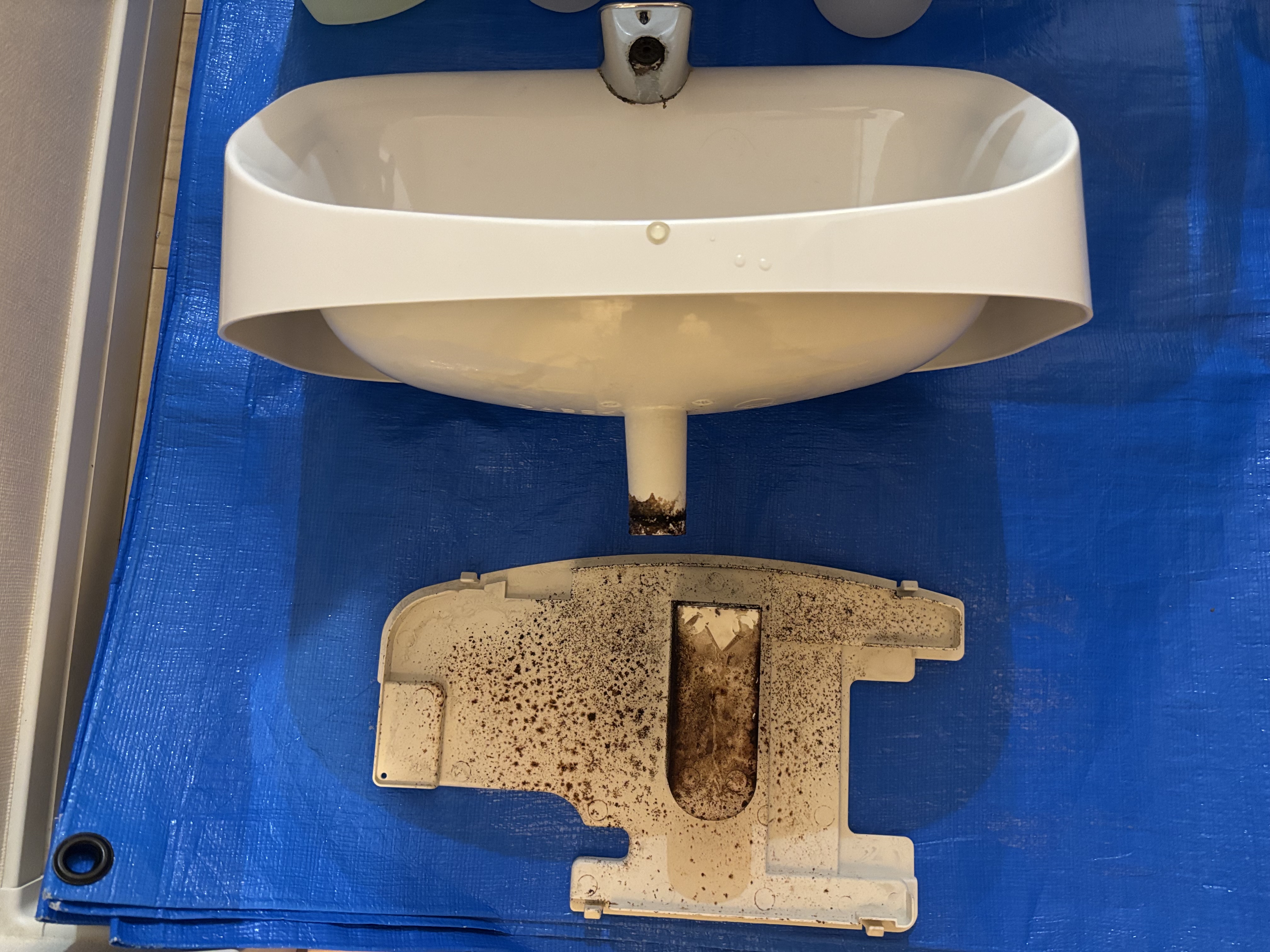 埼玉県新座市のトイレクリーニングの作業前2