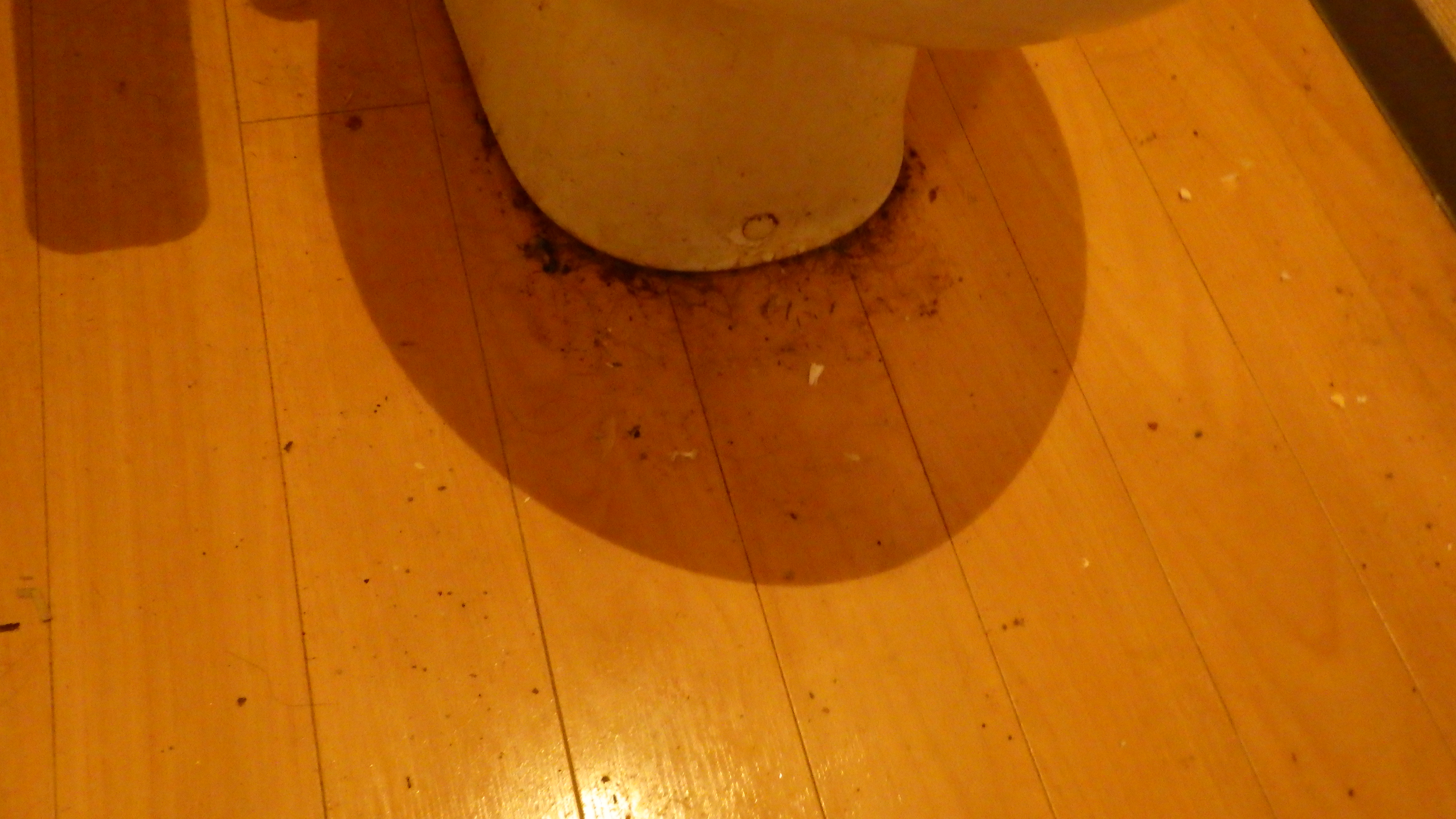 東京都品川区旗の台のトイレクリーニングの作業前2