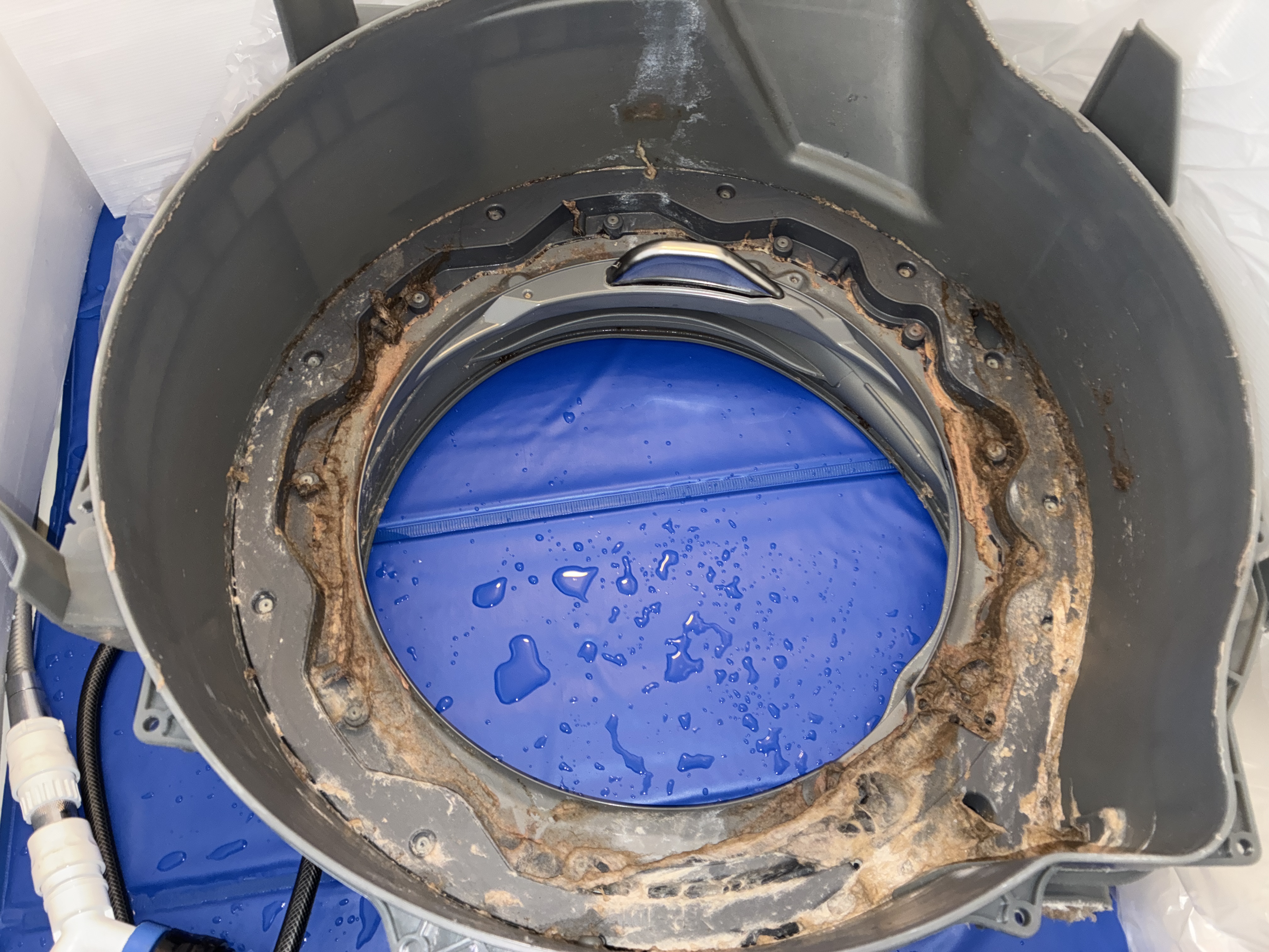 愛知県名古屋市瑞穂区の洗濯機分解クリーニングの作業前1