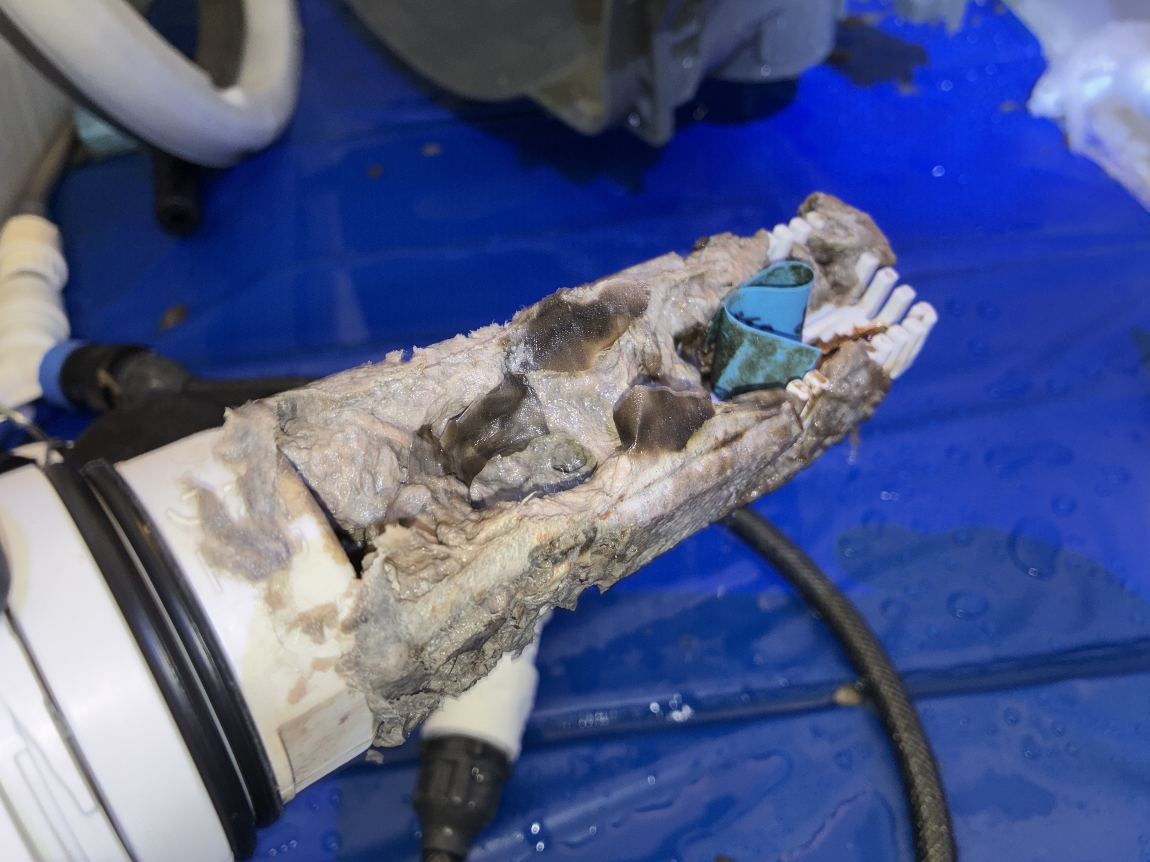 愛知県名古屋市瑞穂区の洗濯機分解クリーニングの作業前3