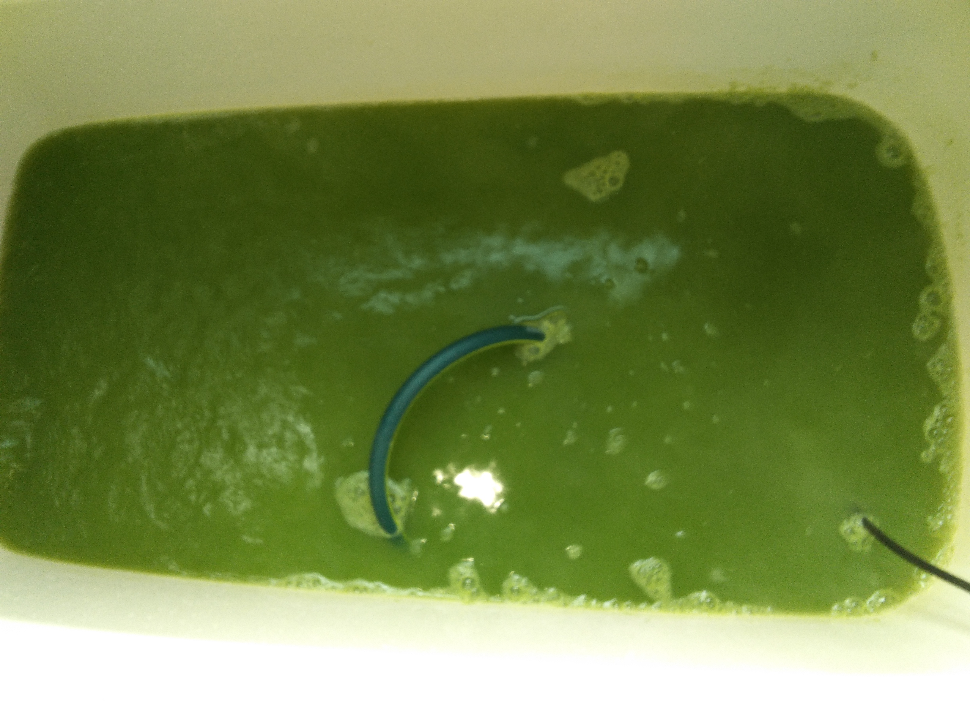 兵庫県神崎郡福崎町の追い焚き配管除菌洗浄の作業後1