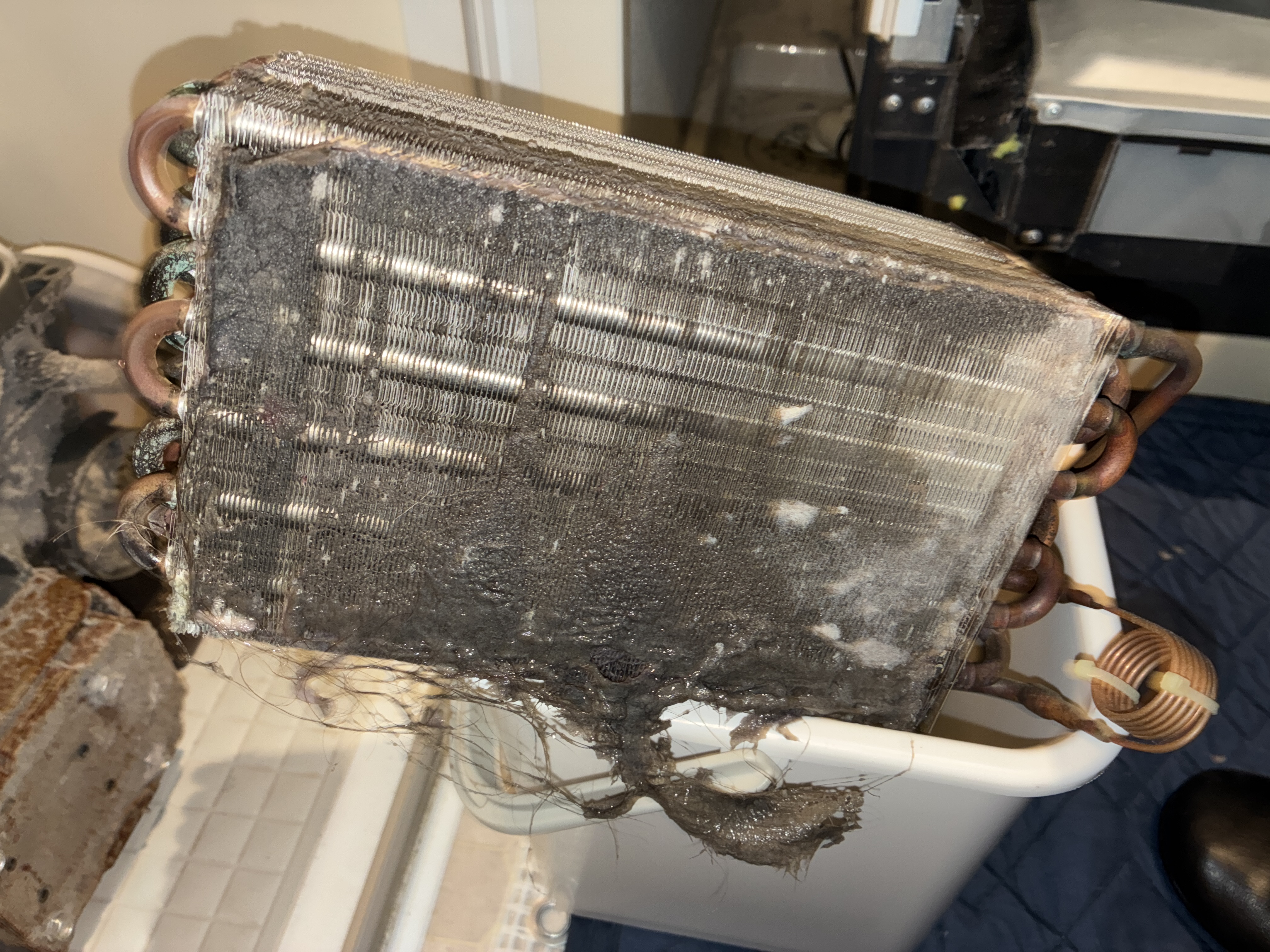 愛知県名古屋市名東区の洗濯機分解クリーニングの作業前2