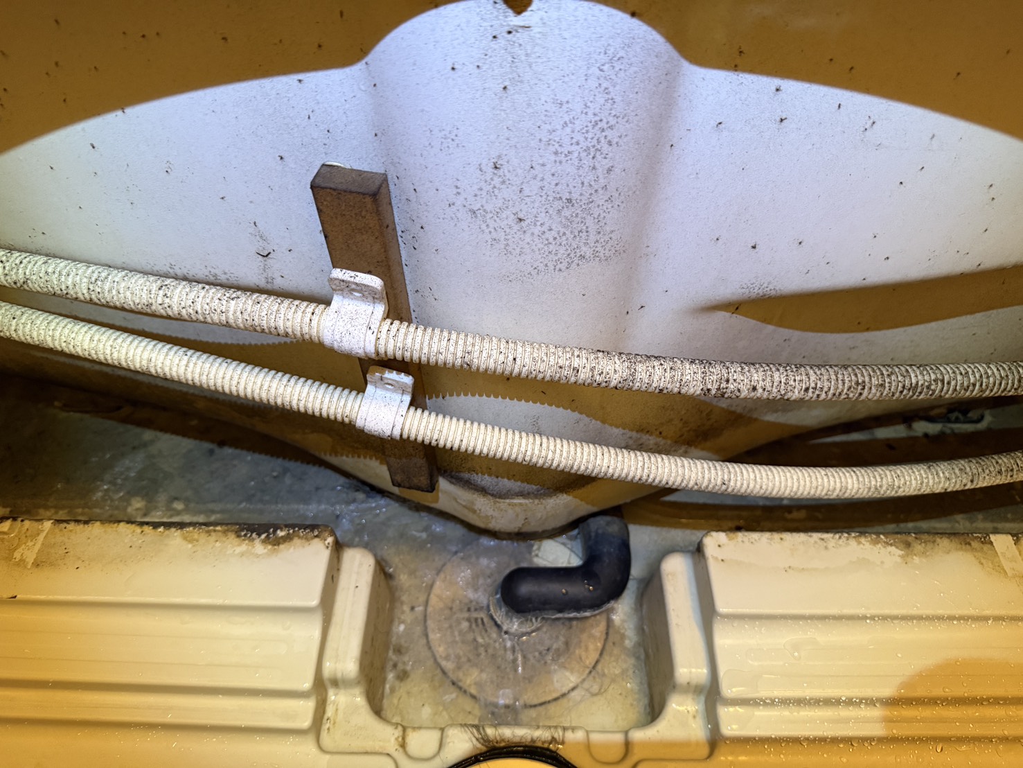 東京都中野区の浴室・お風呂クリーニングの作業前3