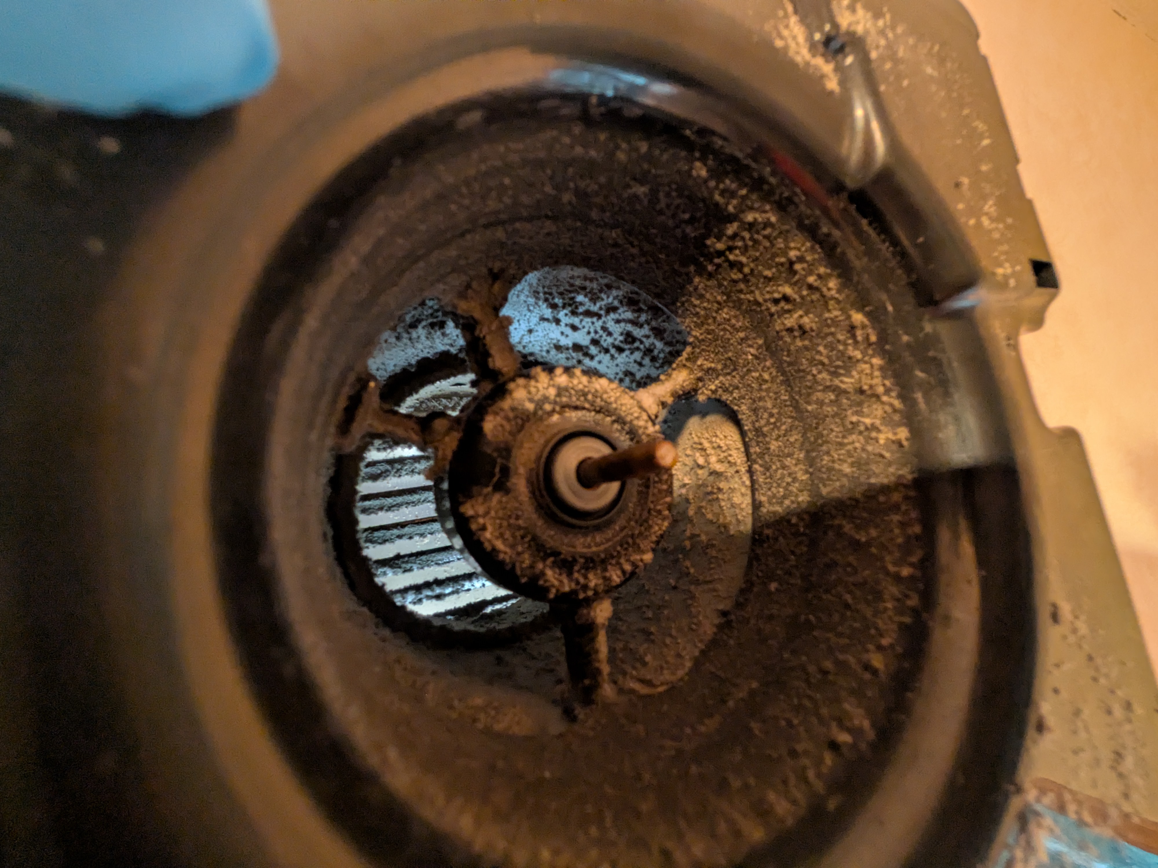 東京都品川区中延の賃貸住宅退去後の原状回復クリーニングの作業前2