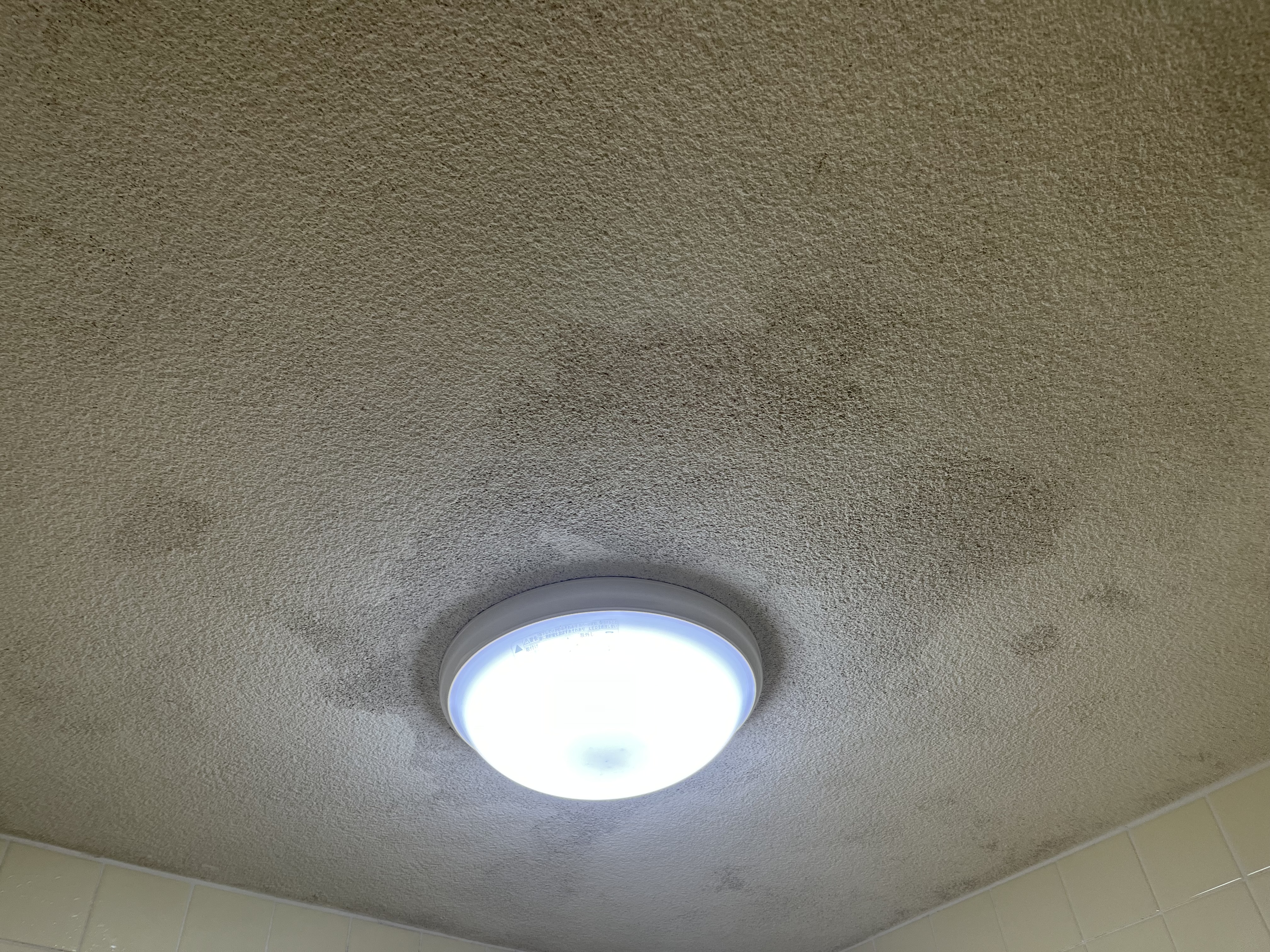 京都府京都市下京区西新屋敷上之町の浴室・お風呂クリーニングの作業前1