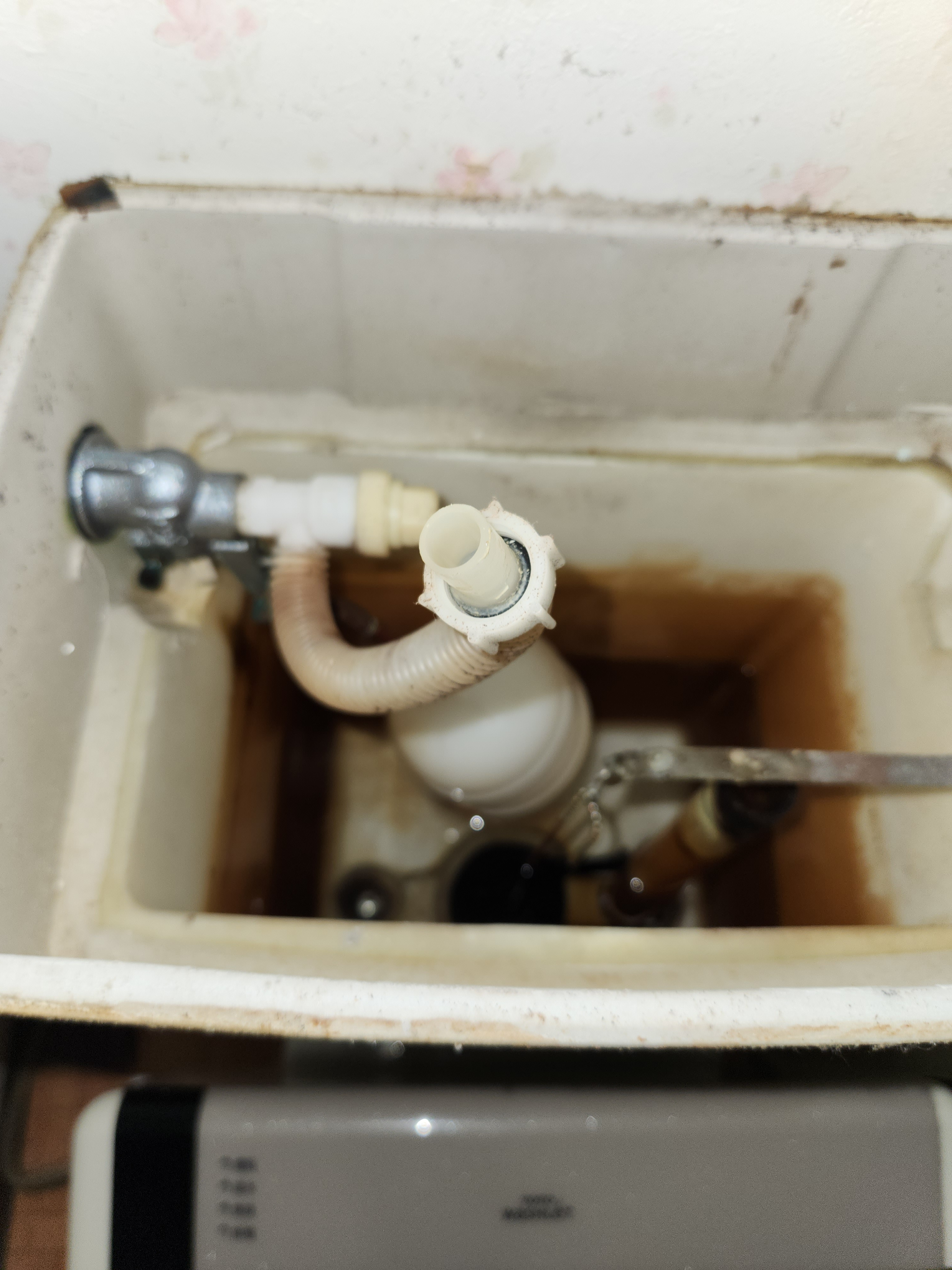 埼玉県鴻巣市のトイレクリーニングの作業前1