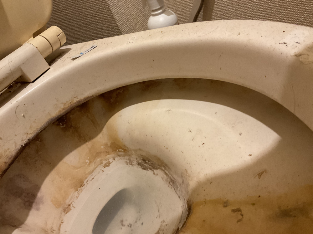 東京都豊島区のトイレクリーニングの作業前2