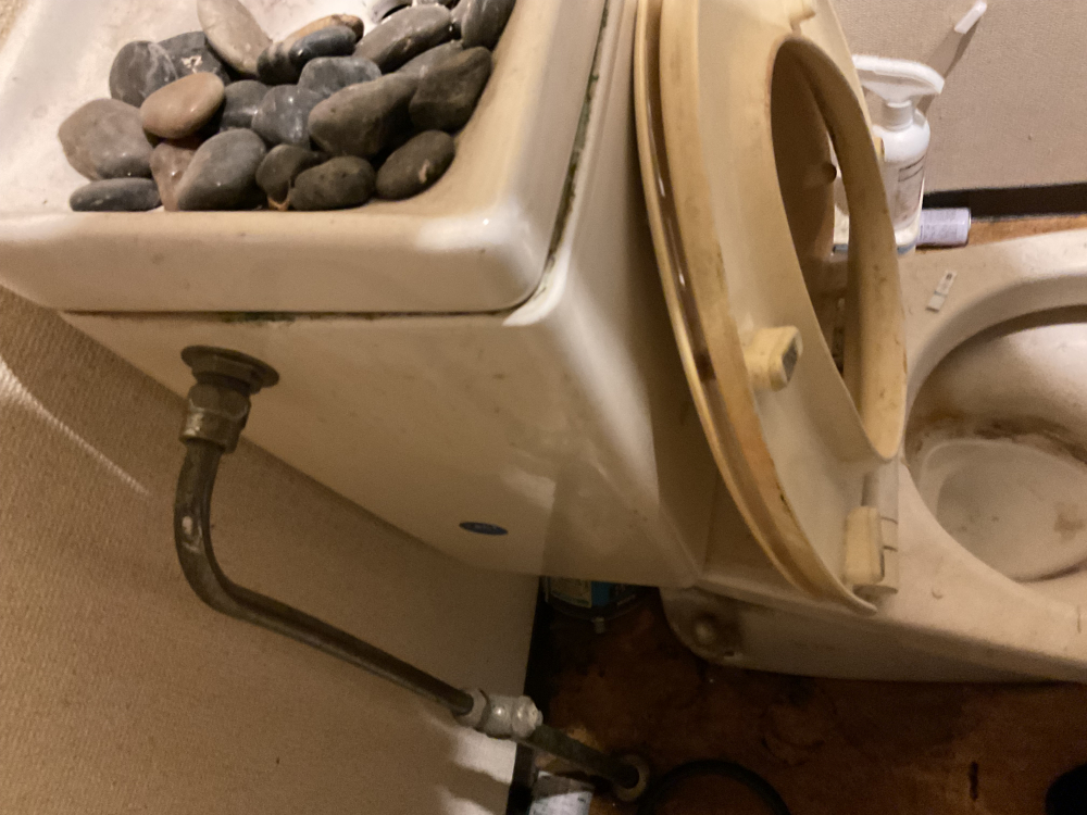 東京都豊島区のトイレクリーニングの作業前3