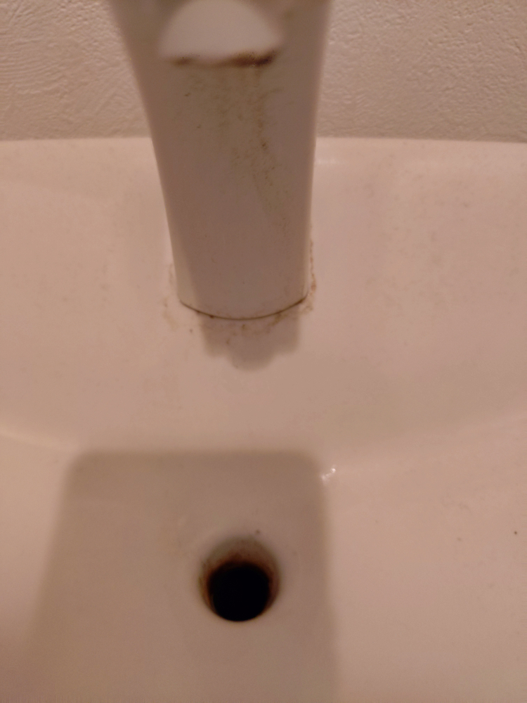 千葉県四街道市のトイレクリーニングの作業前1