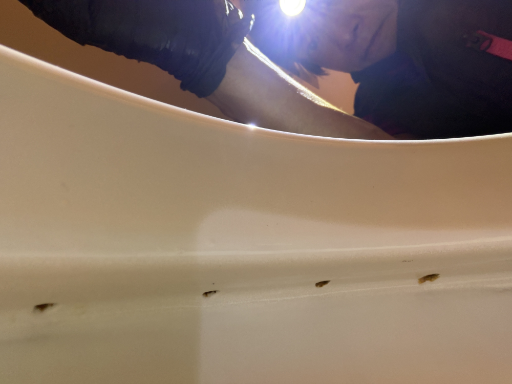 兵庫県川西市美山台のトイレクリーニングの作業後2