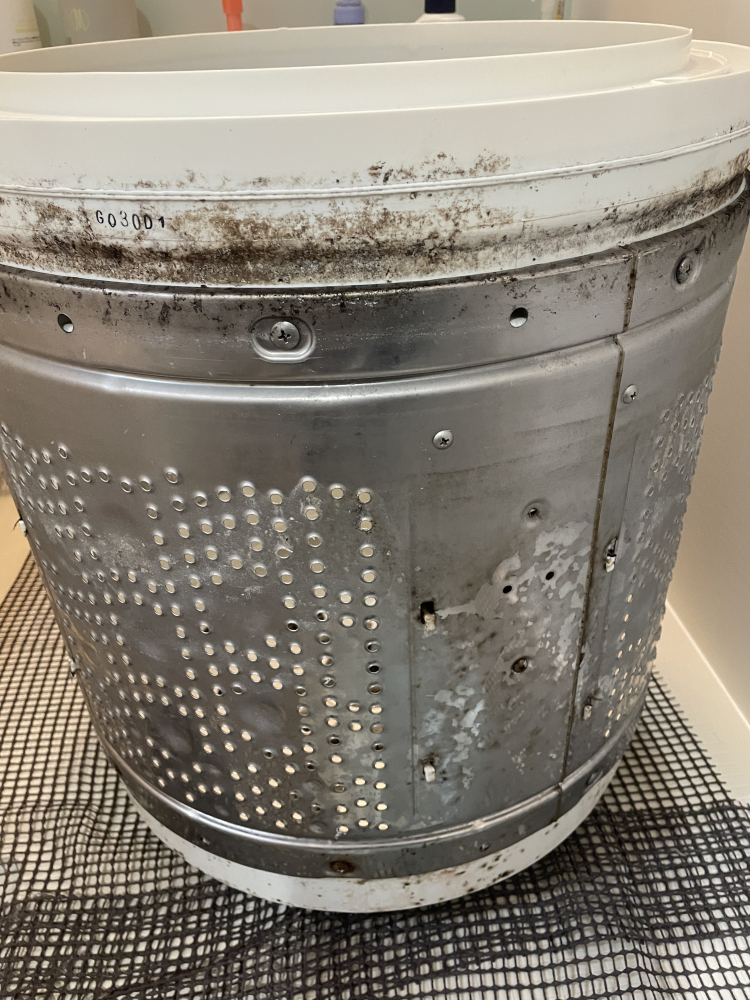 茨城県水戸市の洗濯機分解クリーニングの作業前1
