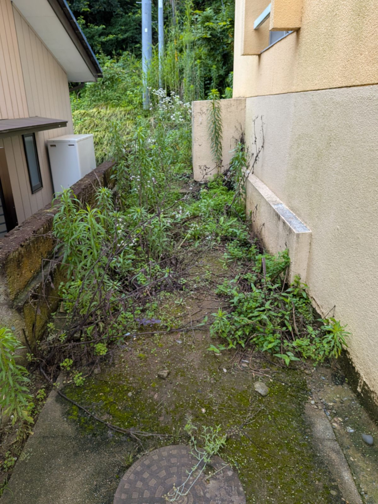 茨城県小美玉市田木谷の何でもわがまま定額サービスの作業前2